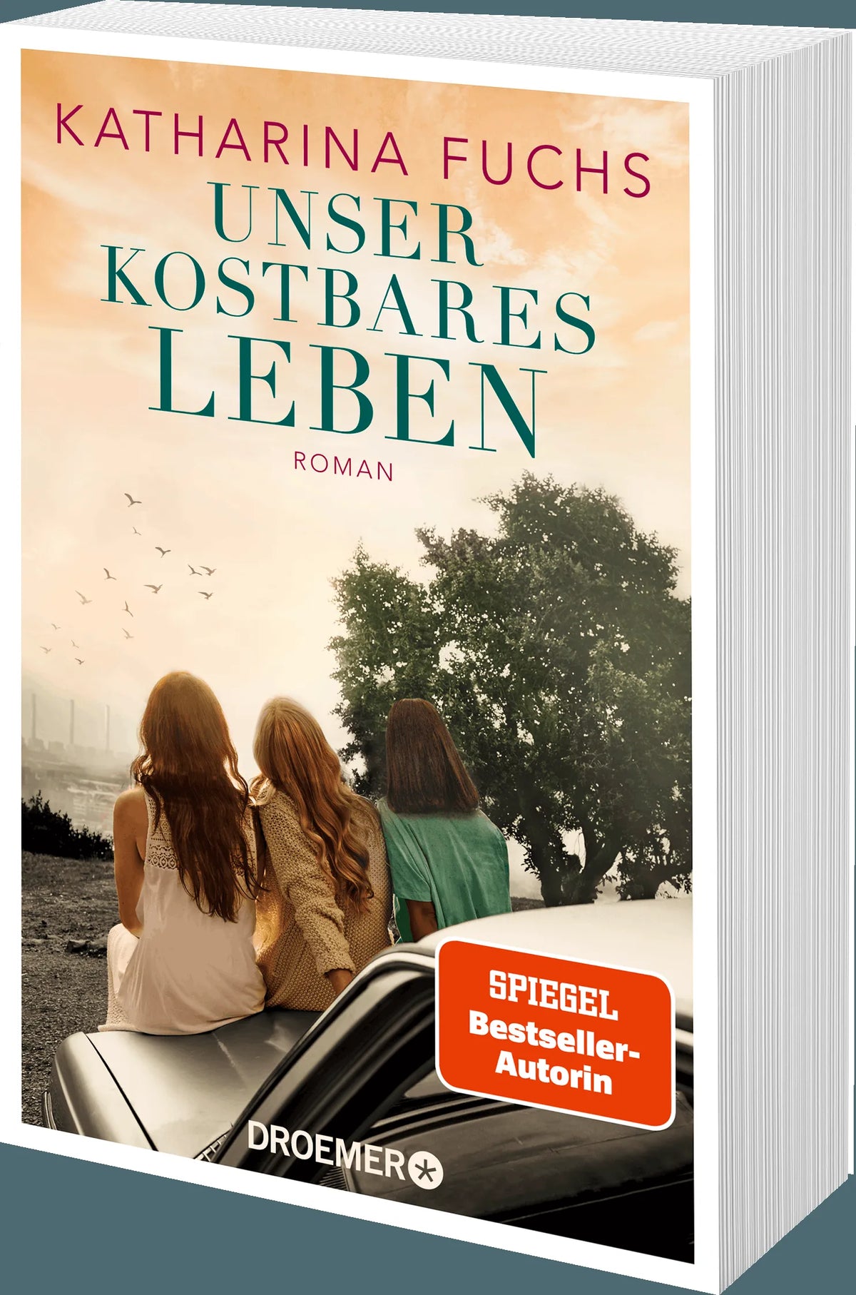 Detailansicht: Unser kostbares Leben (Taschenbuch)