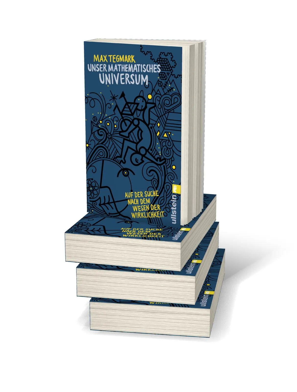 Detailansicht: Unser mathematisches Universum (Taschenbuch)