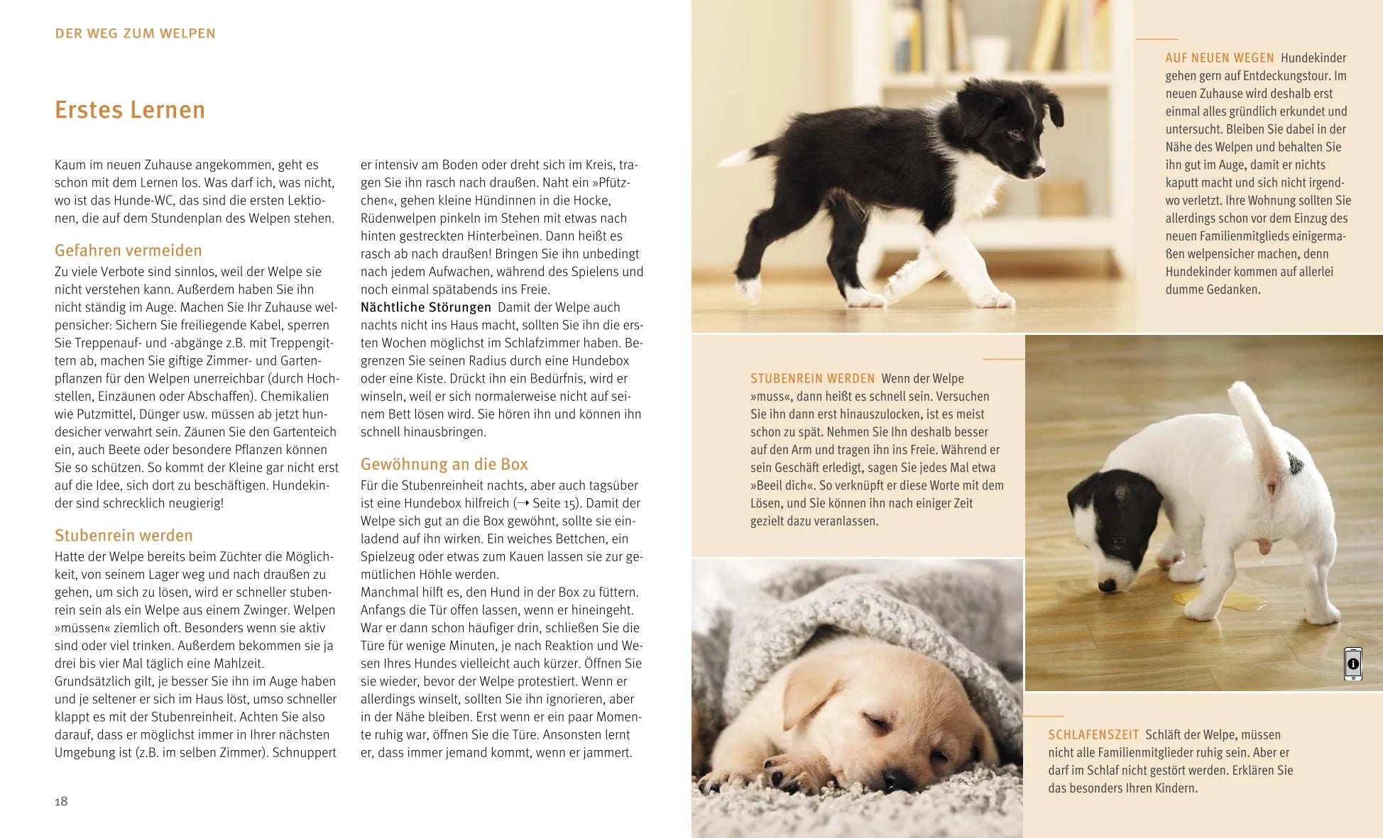 Katharina Schlegl-Kofler - Unser Welpe