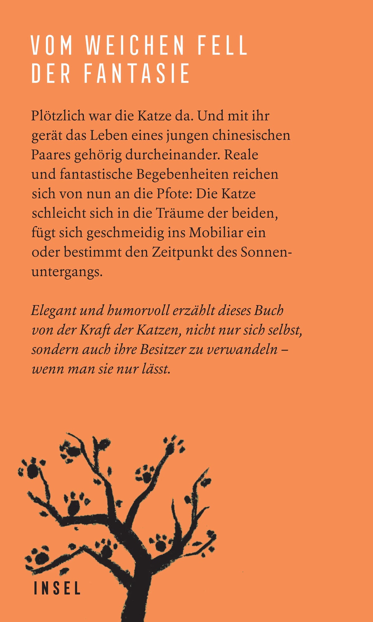 Buchrückseite von 'Unsichtbare Katzen' mit Klappentext - Gebundene Ausgabe