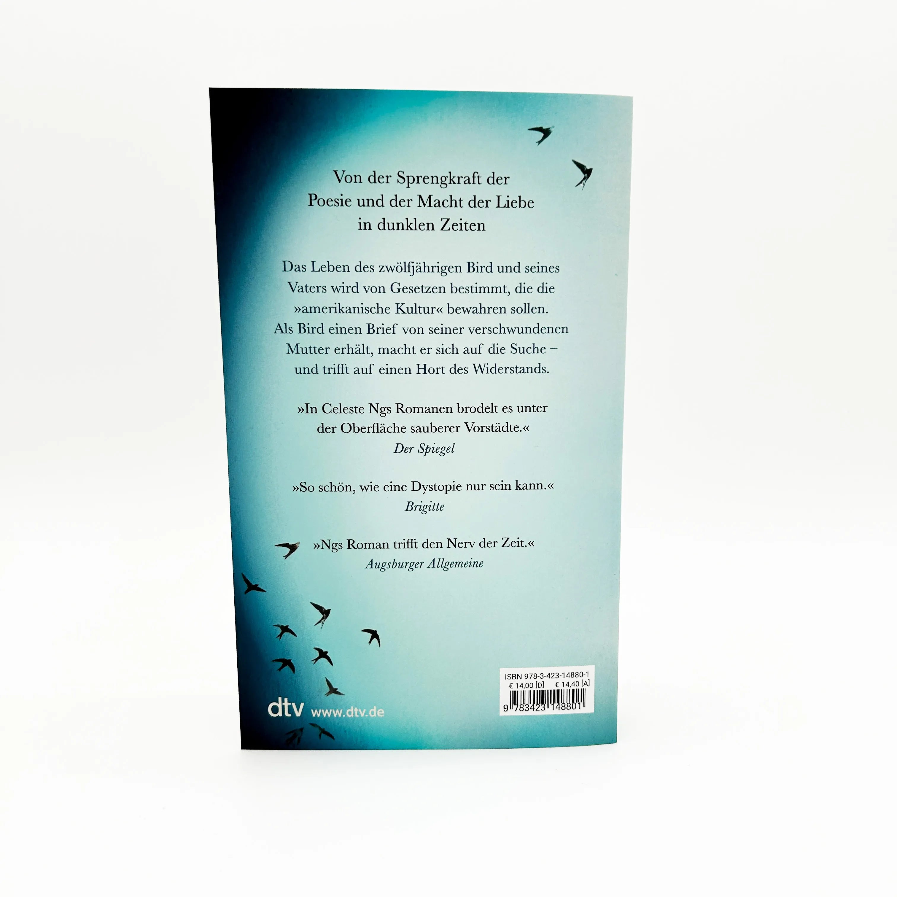 Produktansicht: Unsre verschwundenen Herzen (Taschenbuch)