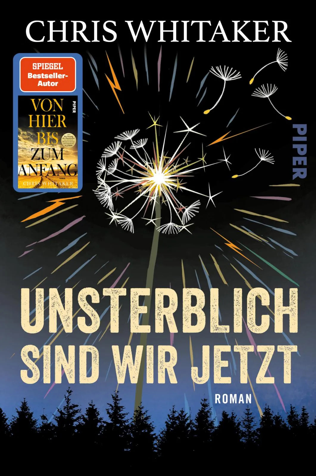 Cover: Unsterblich sind wir jetzt (Paperback) von Chris Whitaker