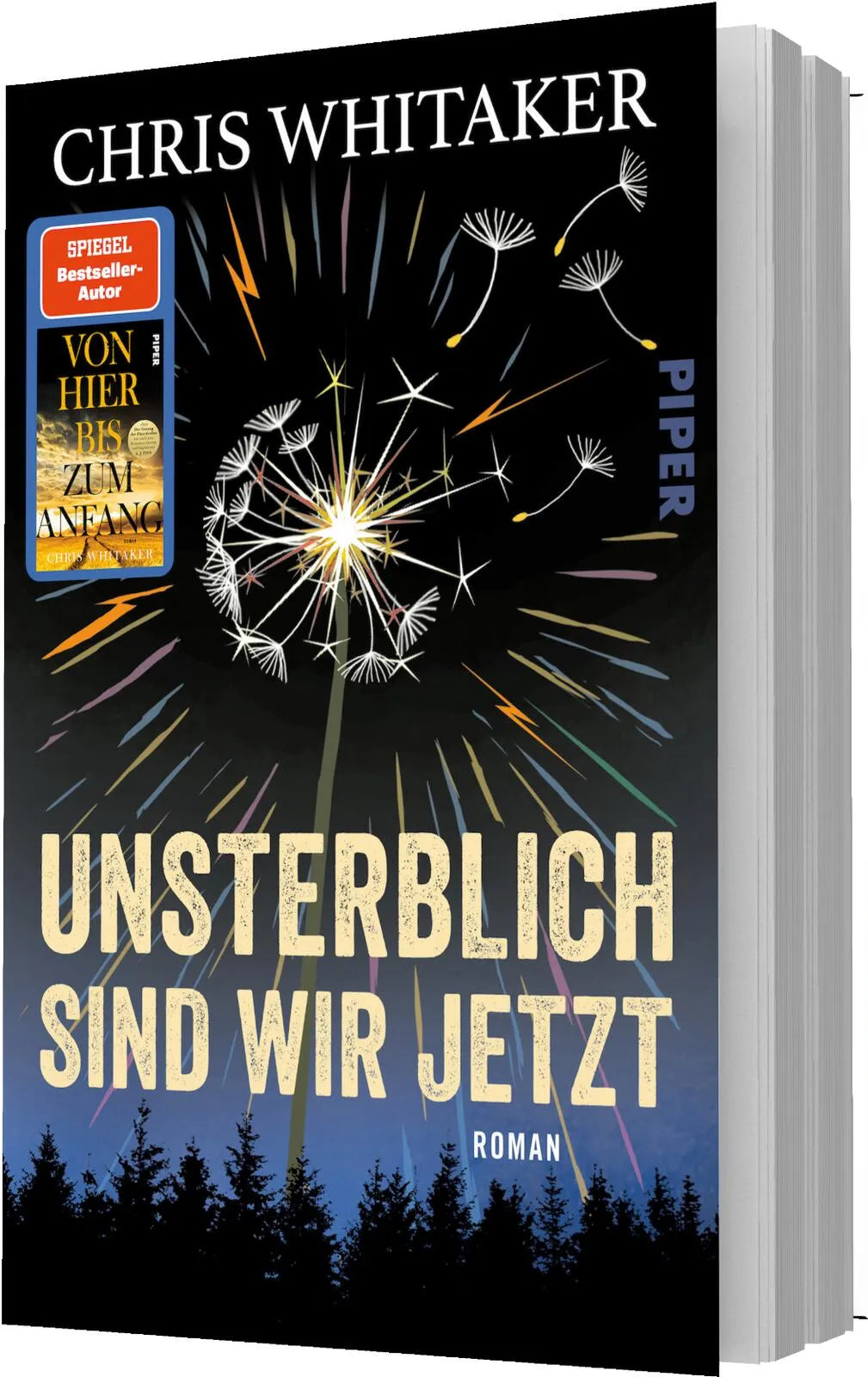 Detailansicht: Unsterblich sind wir jetzt (Paperback)