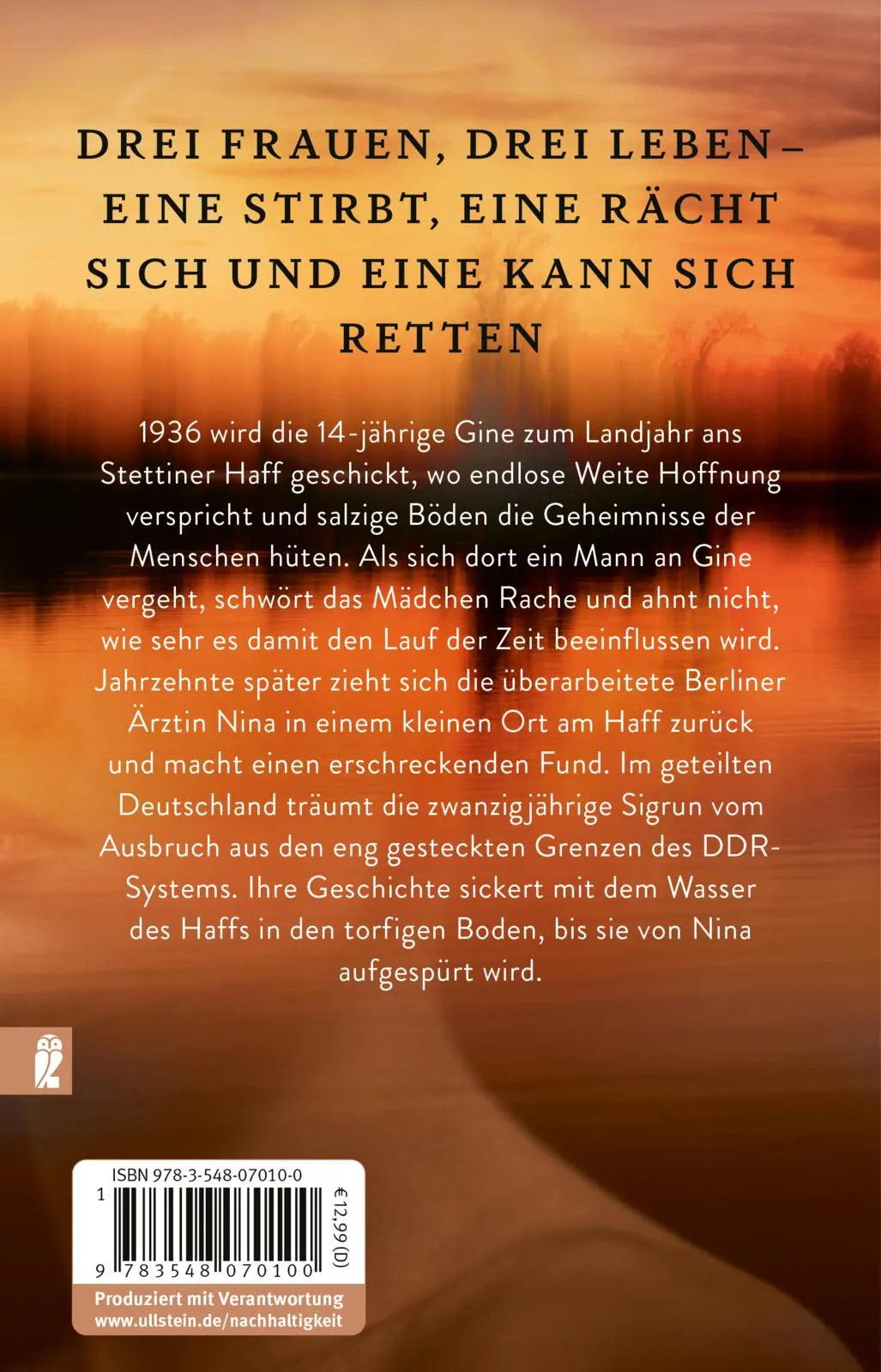 Buchrückseite von 'Unter dem Moor' mit Klappentext - Taschenbuch