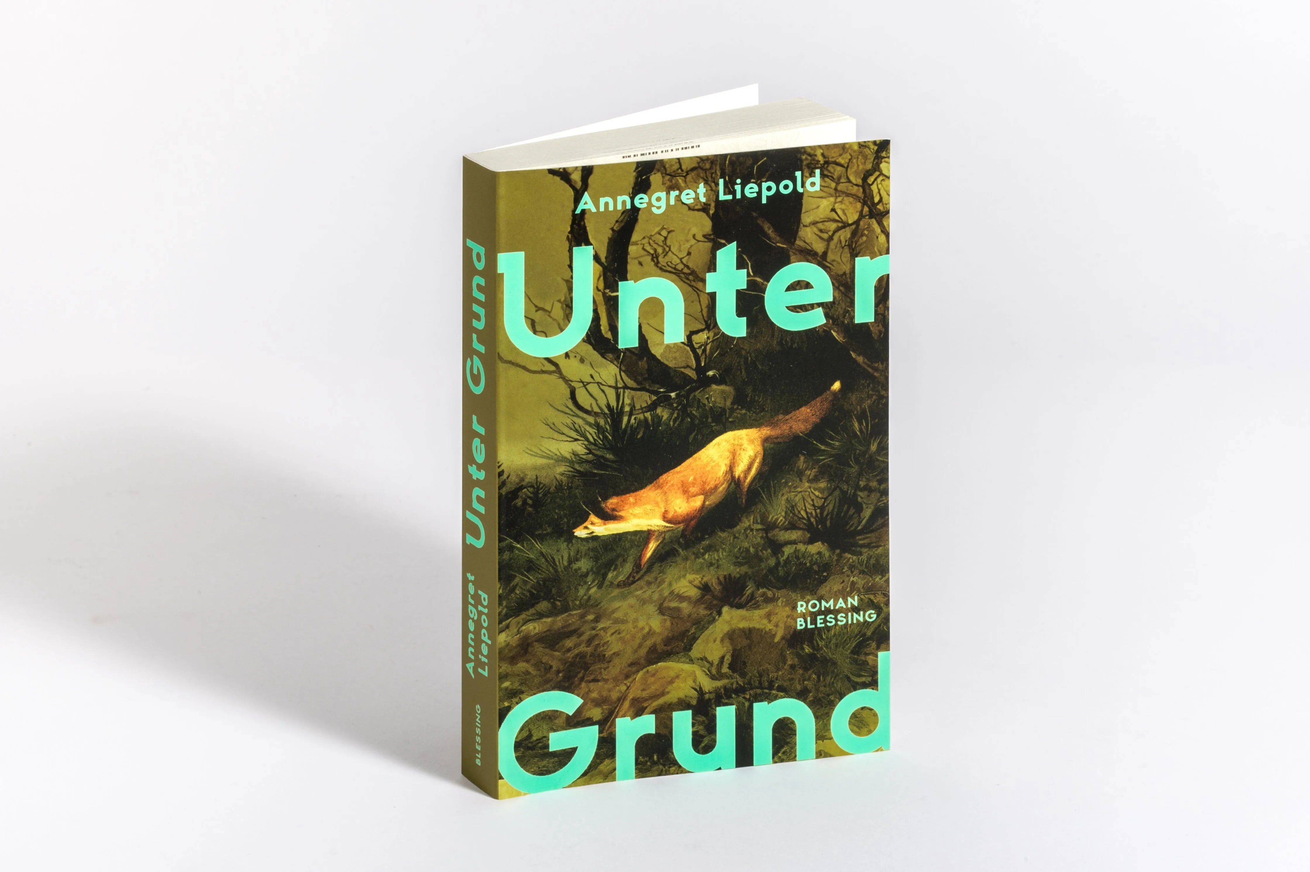 Detailansicht: Unter Grund (Taschenbuch)