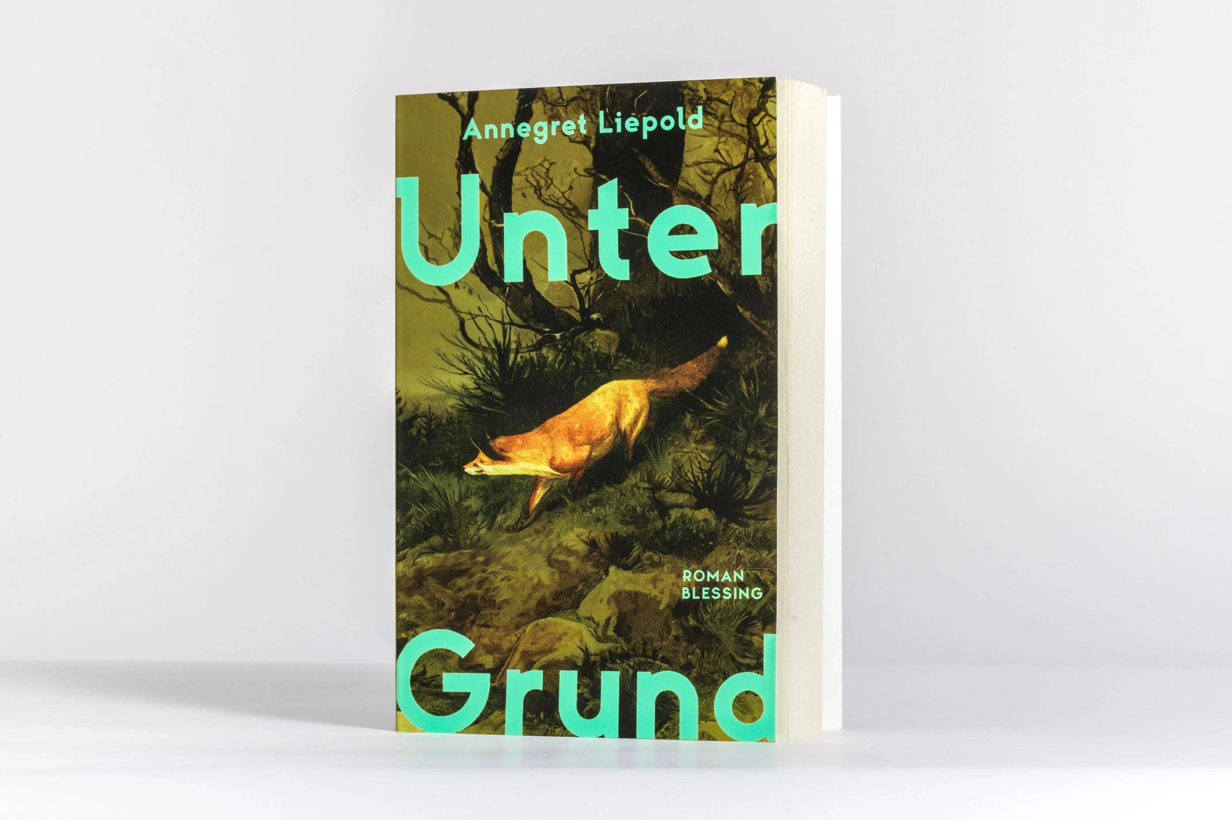Detailansicht: Unter Grund (Taschenbuch)