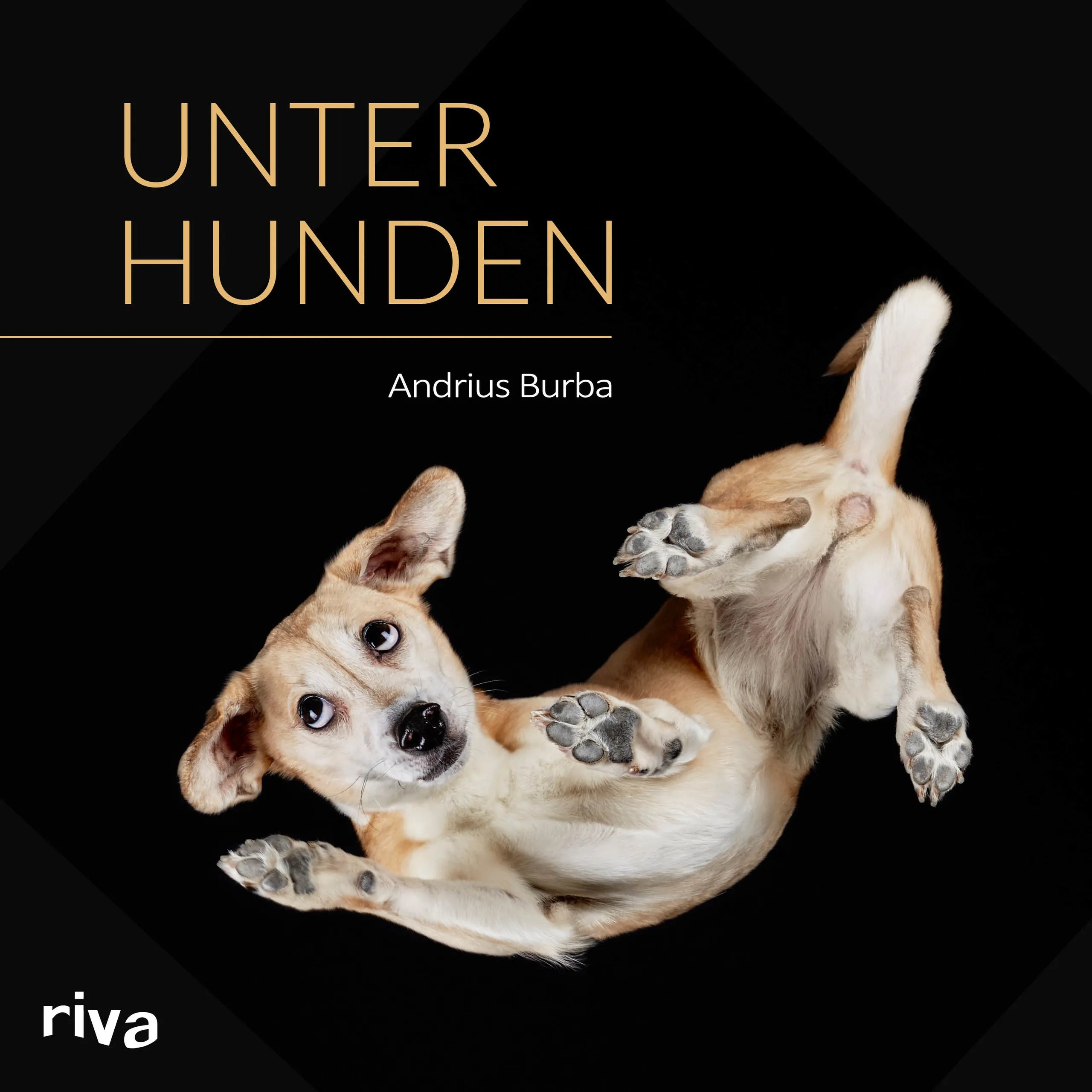 Buchcover von 'Unter Hunden' - Gebundene Ausgabe von Andrius Burba