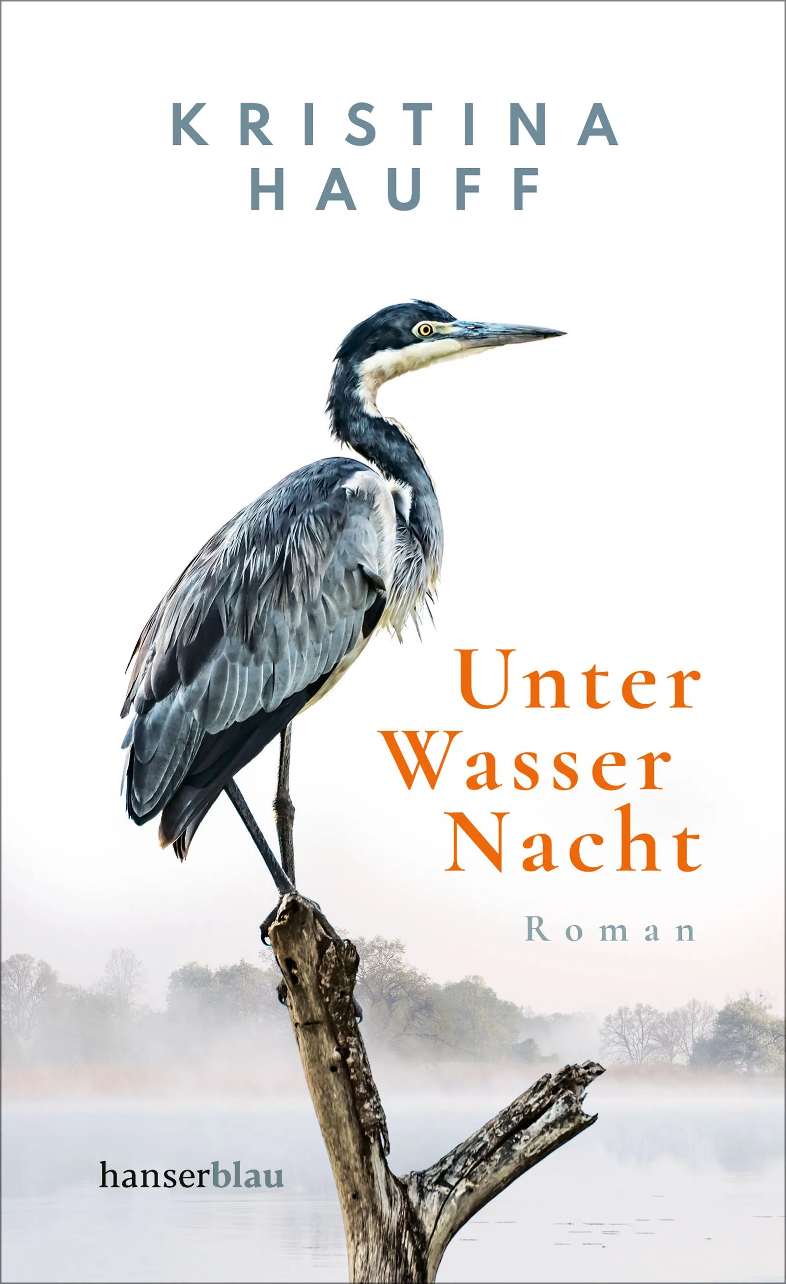 Buchcover von 'Unter Wasser Nacht' - Gebundene Ausgabe von Kristina Hauff