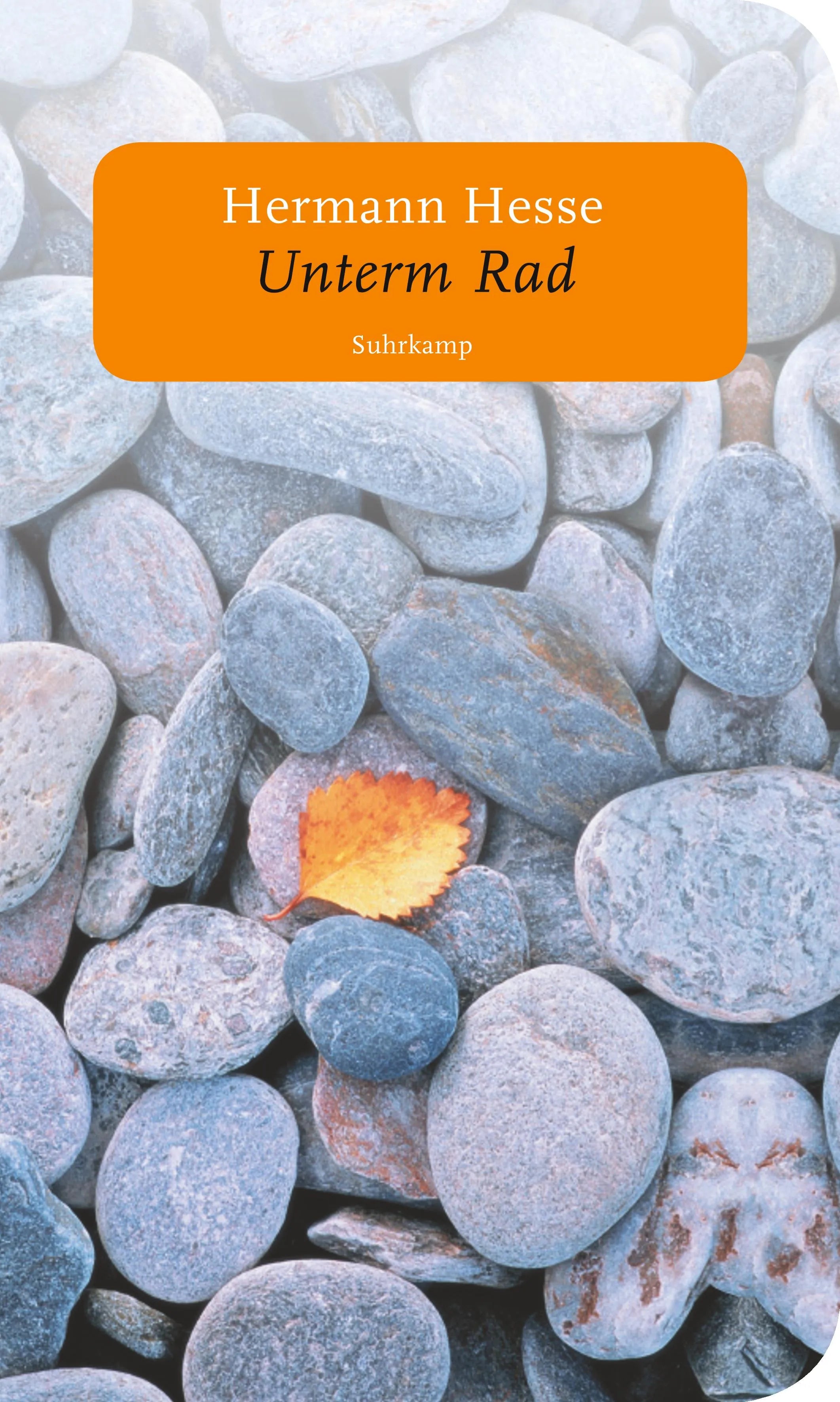 Buchcover von 'Unterm Rad' - Taschenbuch von Hermann Hesse