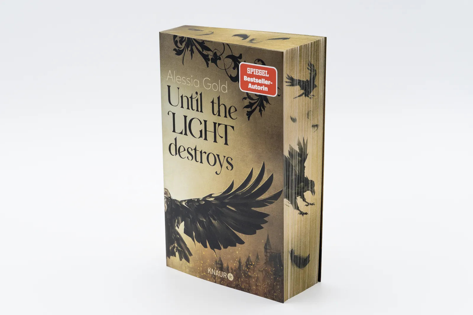 Detailansicht: Until the Light destroys (Paperback)
