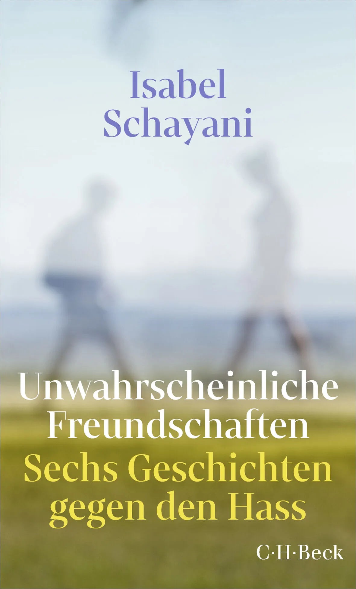 Cover: Unwahrscheinliche Freundschaften (Taschenbuch) von Isabel Schayani