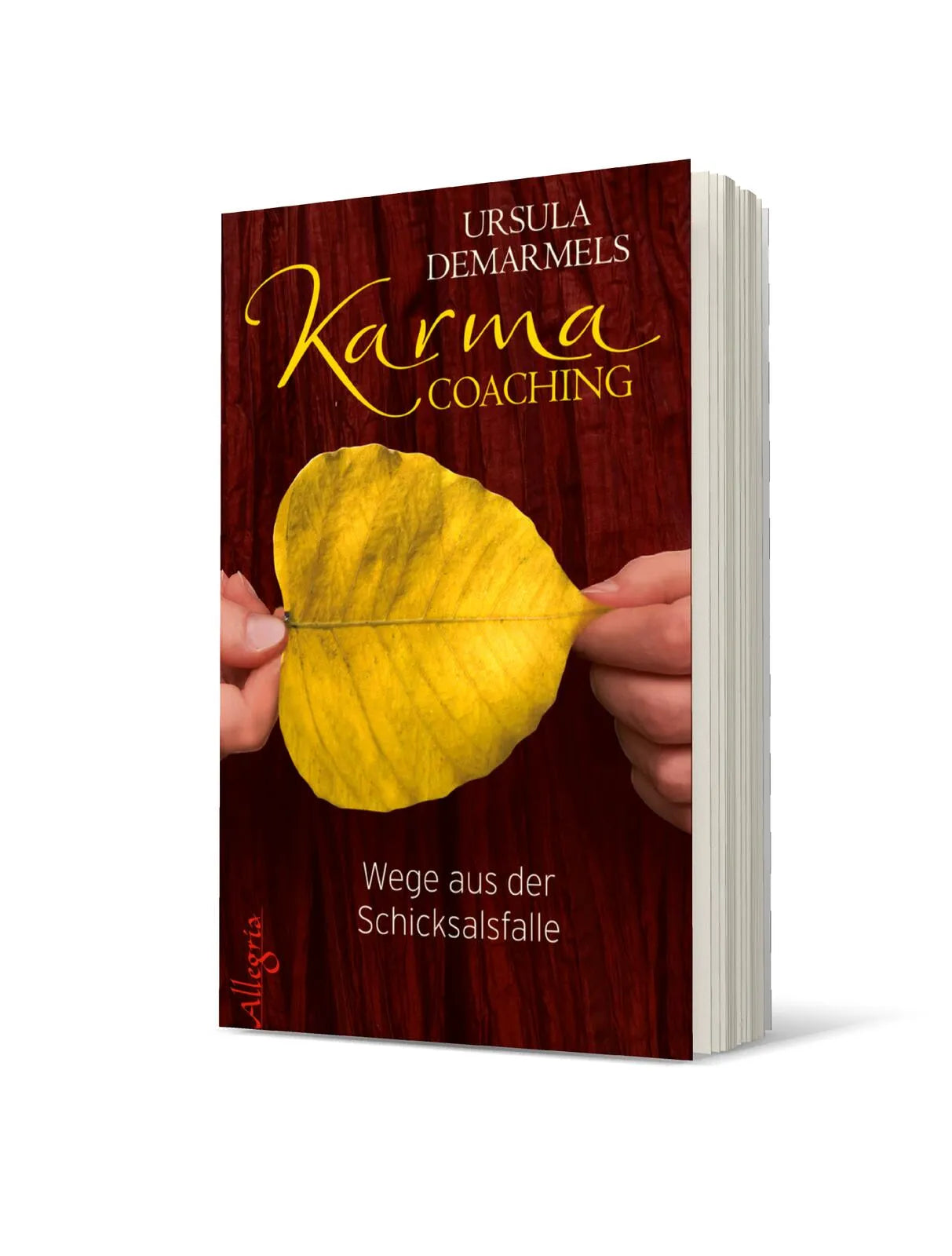 Produktansicht: Karma-Coaching (Paperback)