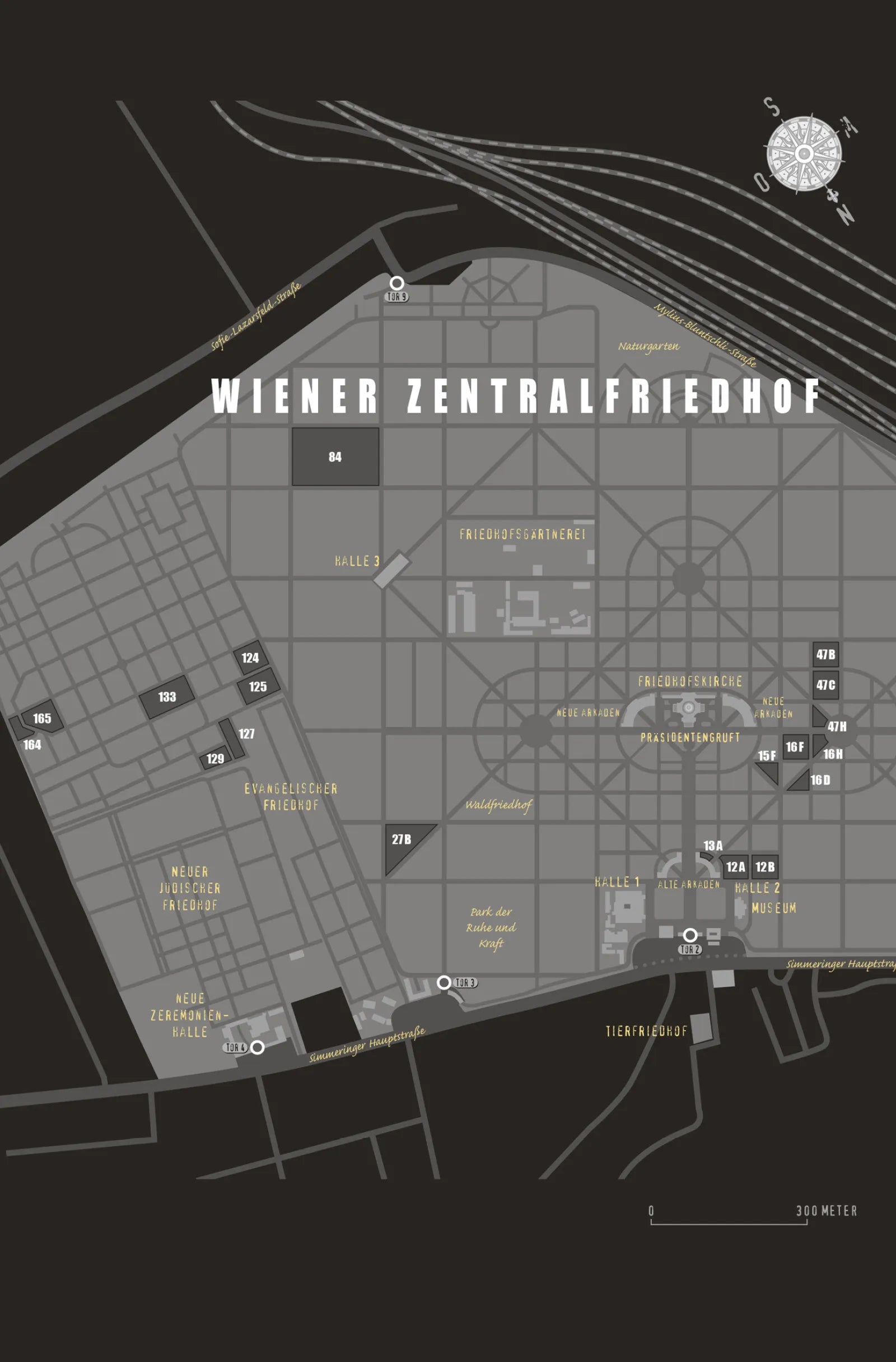 Produktansicht: VANITAS - Grau wie Asche (Taschenbuch)