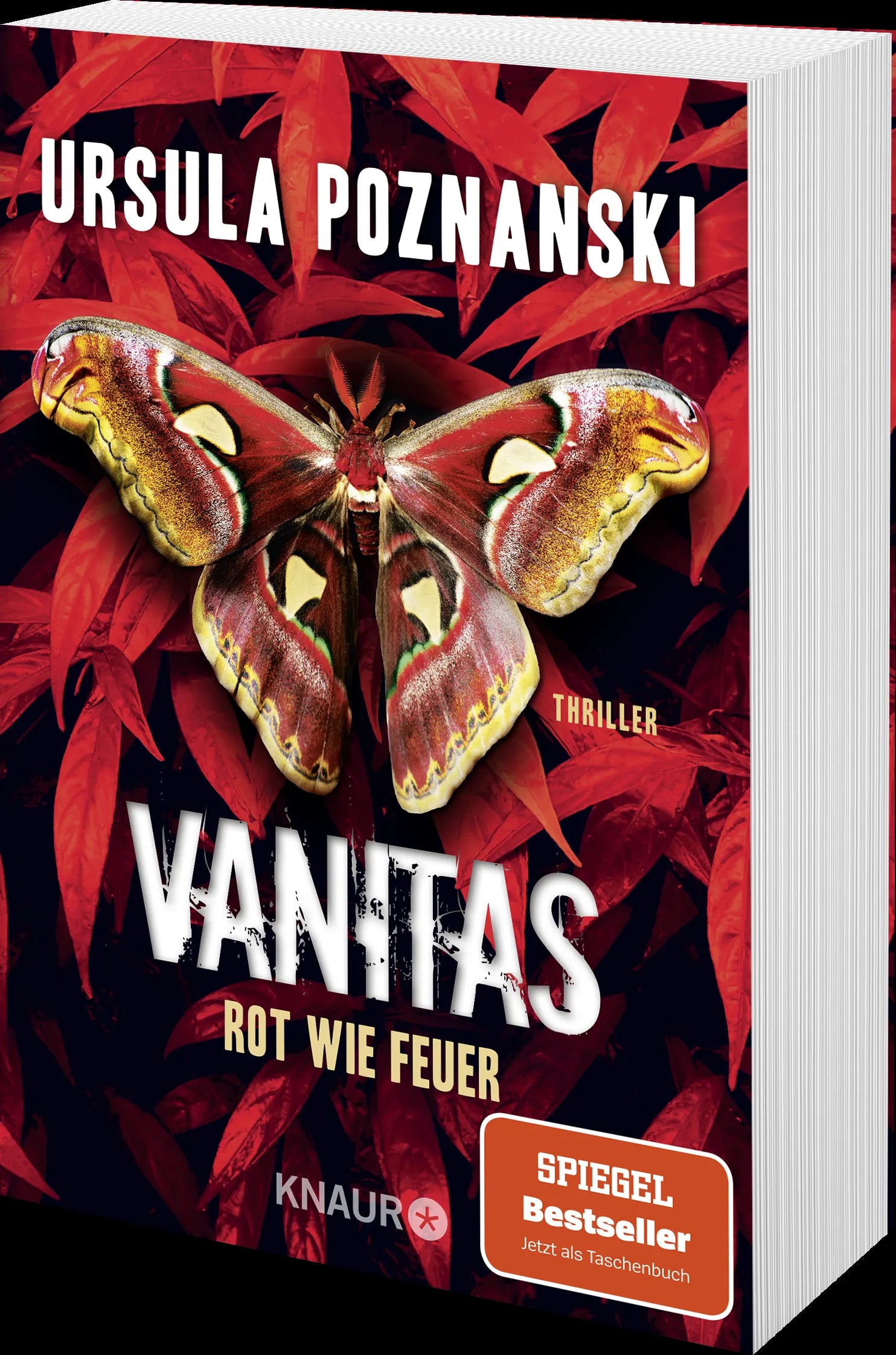 Produktansicht: VANITAS - Rot wie Feuer (Taschenbuch)