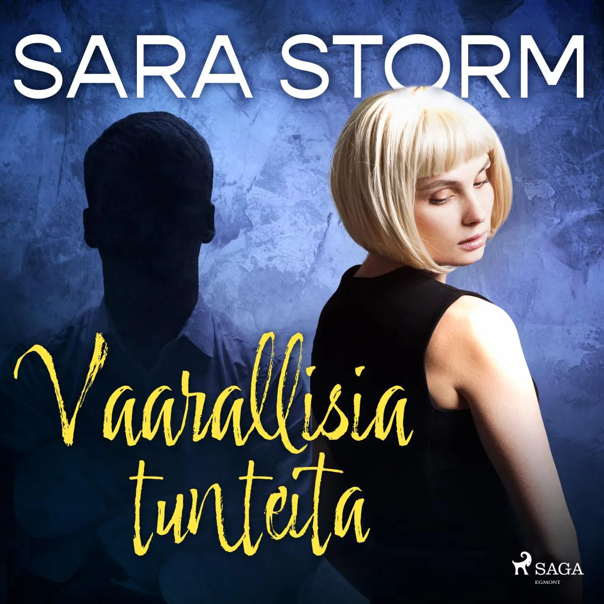 Cover: Vaarallisia tunteita (Hörbuch Download) von Sara Storm