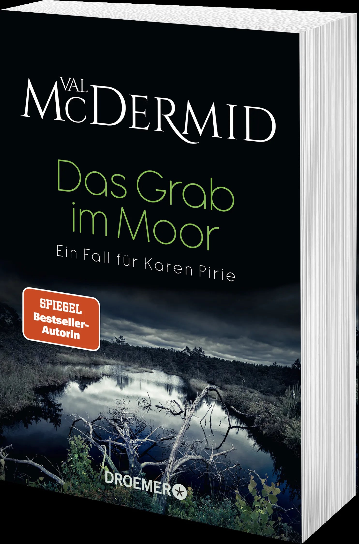 Produktansicht: Das Grab im Moor (Taschenbuch)