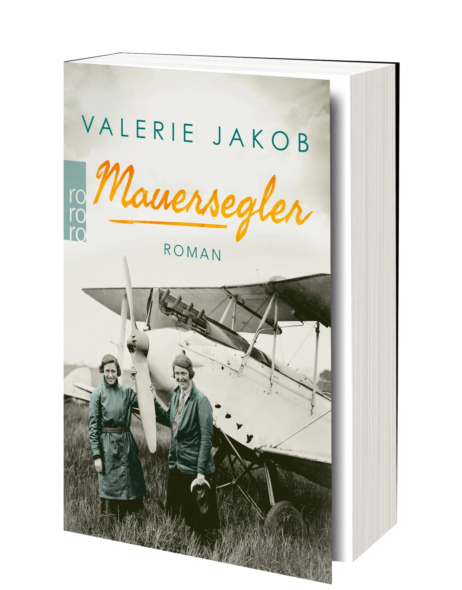 Produktansicht: Mauersegler (Taschenbuch)