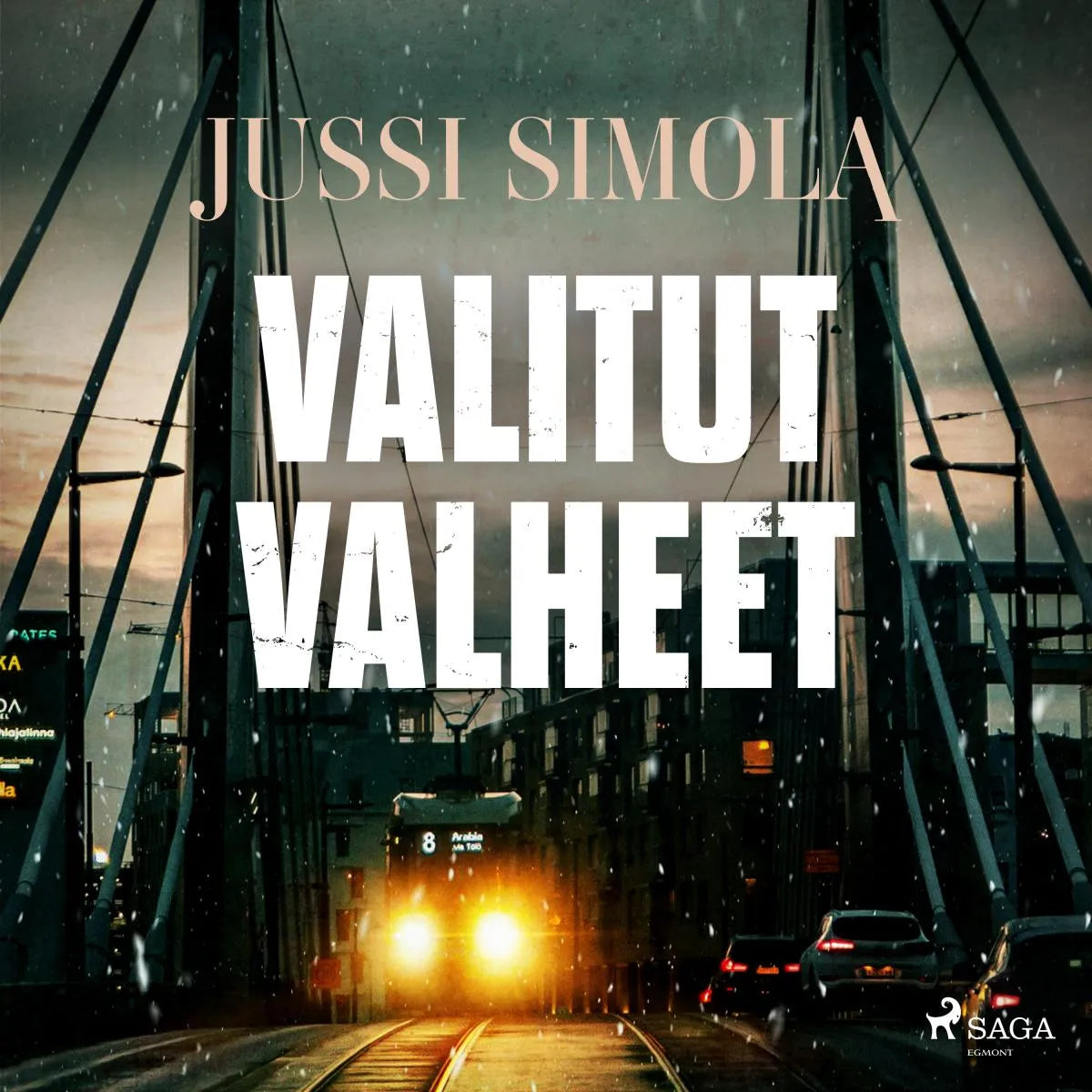 Cover: Valitut valheet (Hörbuch Download) von Jussi Simola