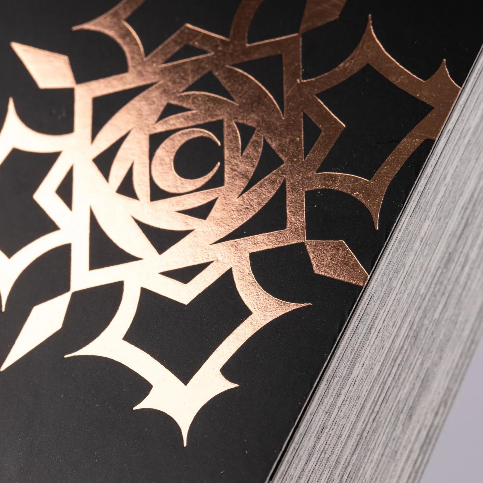 Abbildung von 'Vampire Knight Pearls 2'