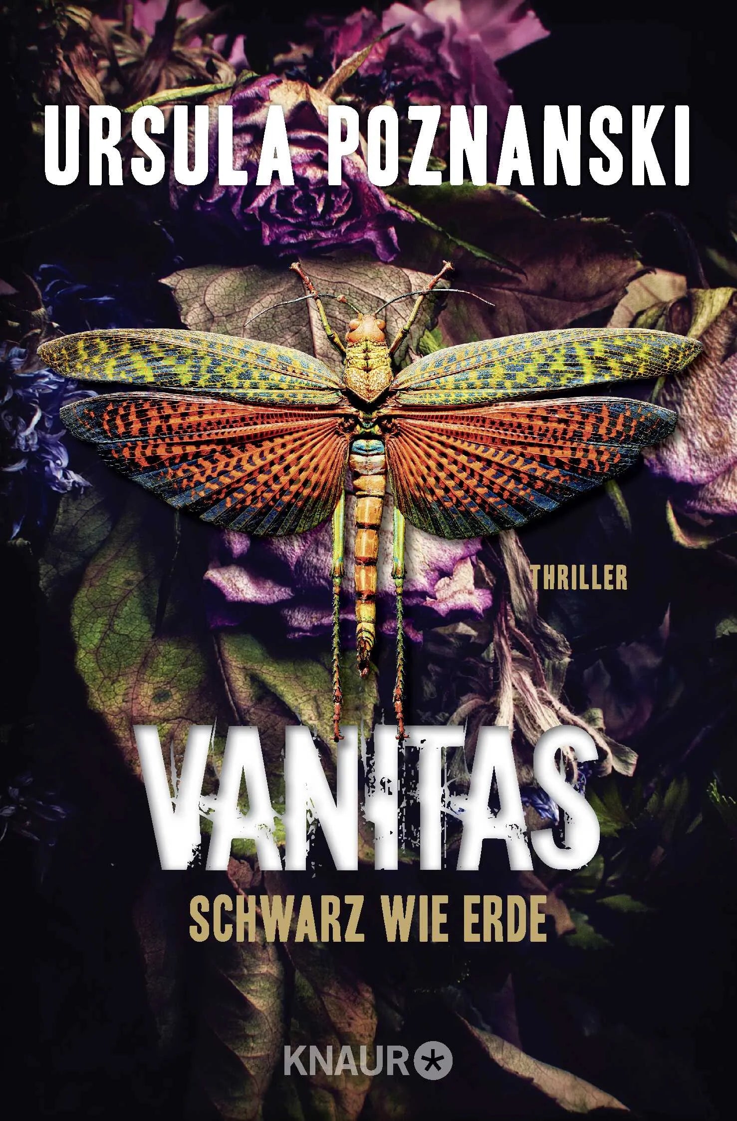 Buchcover von 'Vanitas - Schwarz wie Erde' - Taschenbuch von Ursula Poznanski