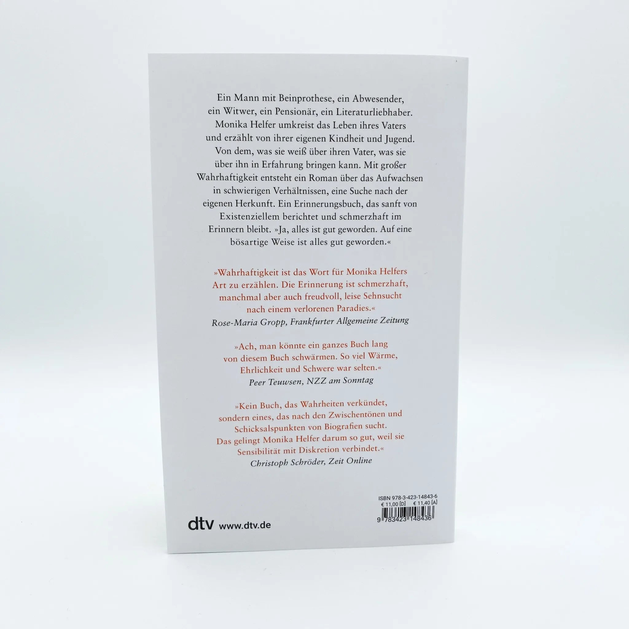 Produktansicht: Vati (Taschenbuch)