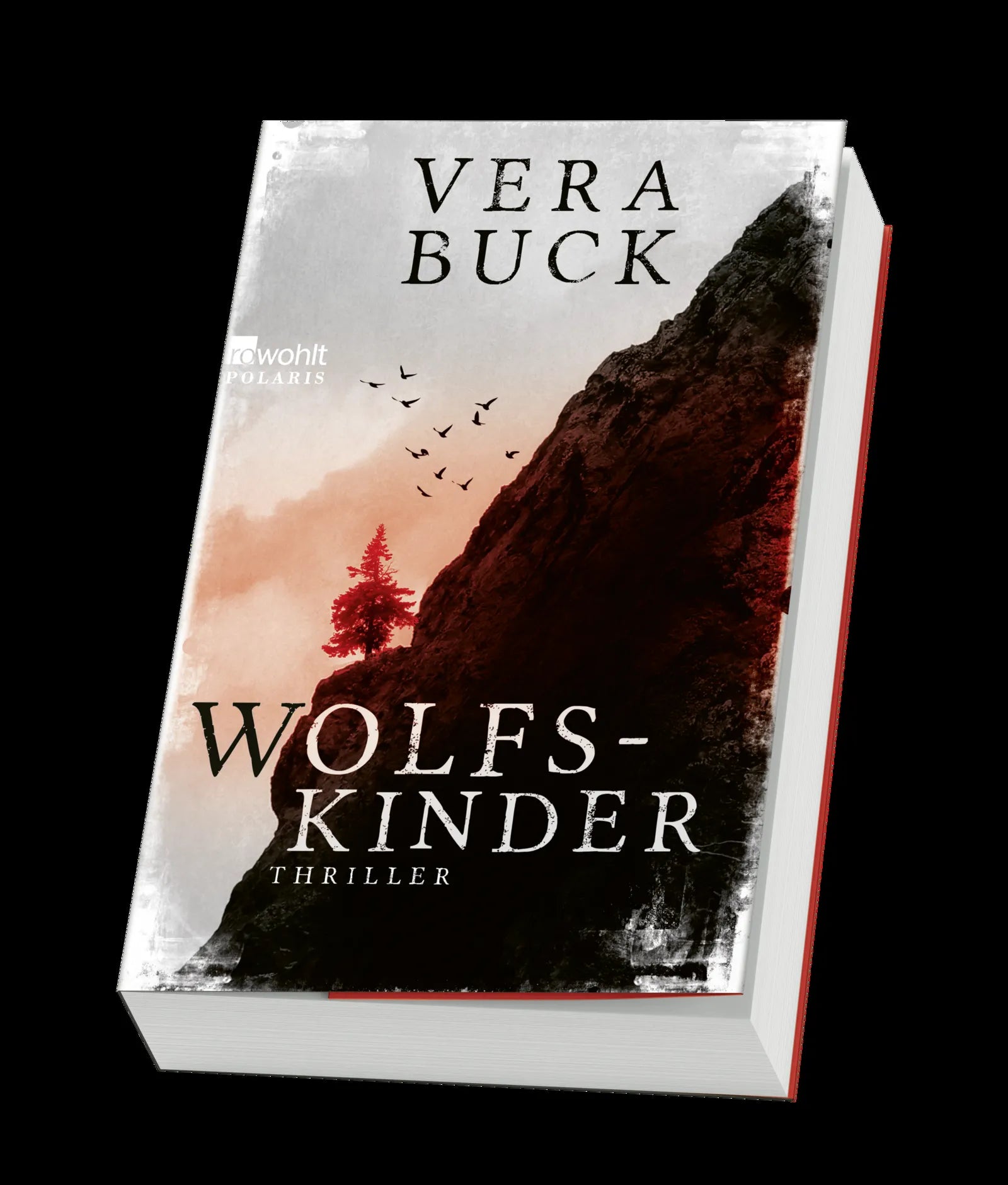 Produktansicht: Wolfskinder (Paperback)