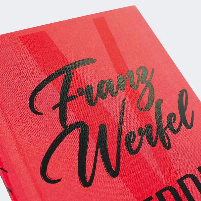 Produktansicht: Verdi (Gebundene Ausgabe)