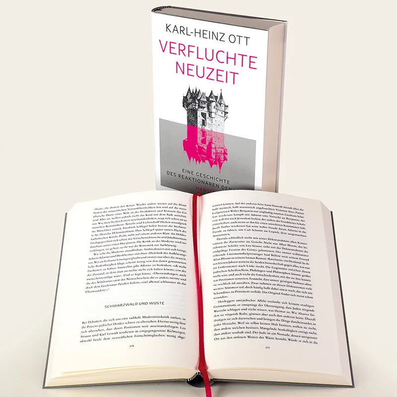 Abbildung von 'Verfluchte Neuzeit'