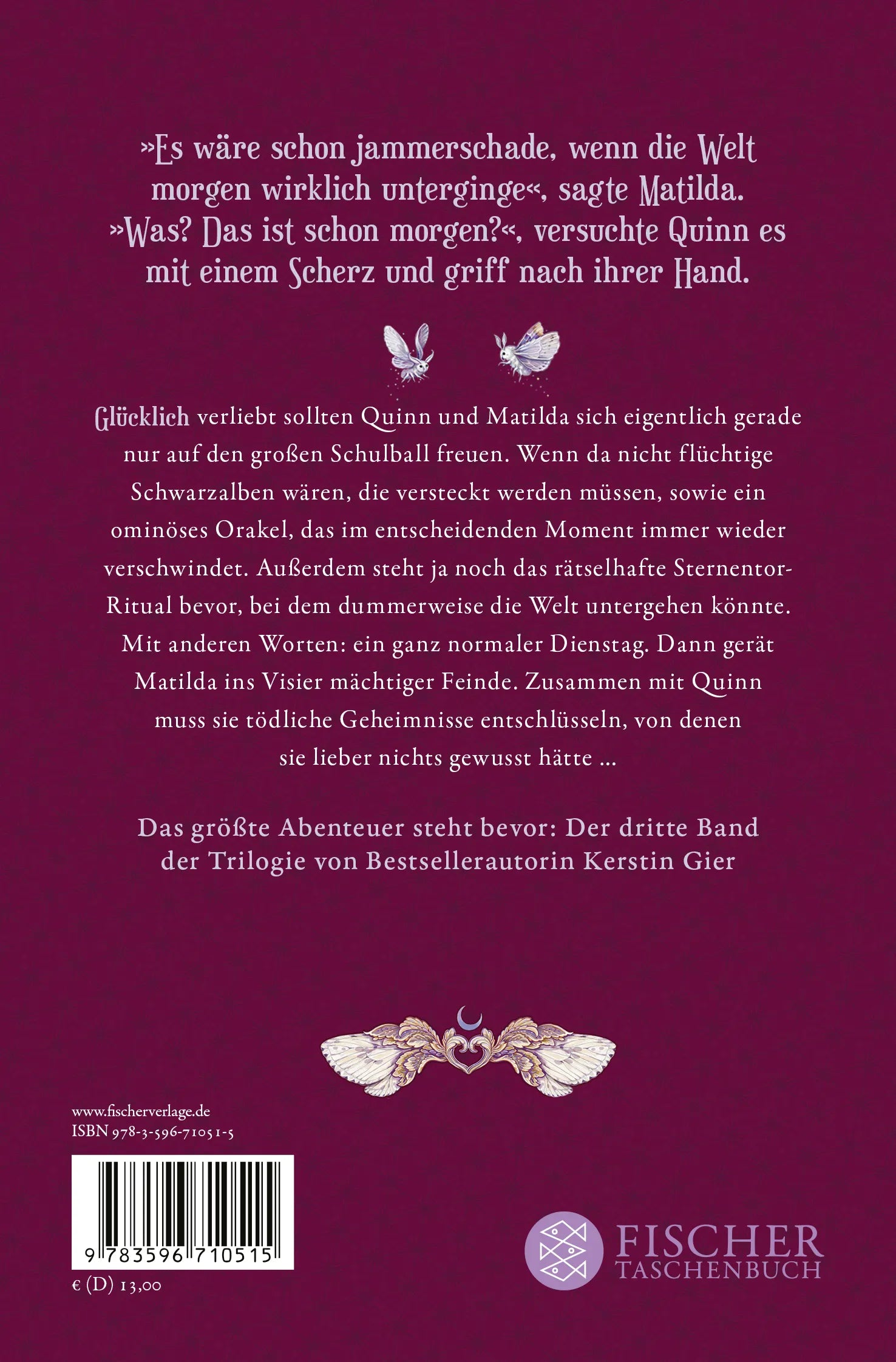 Buchrückseite von 'Vergissmeinnicht - Was die Welt zusammenhält' mit Klappentext - Taschenbuch