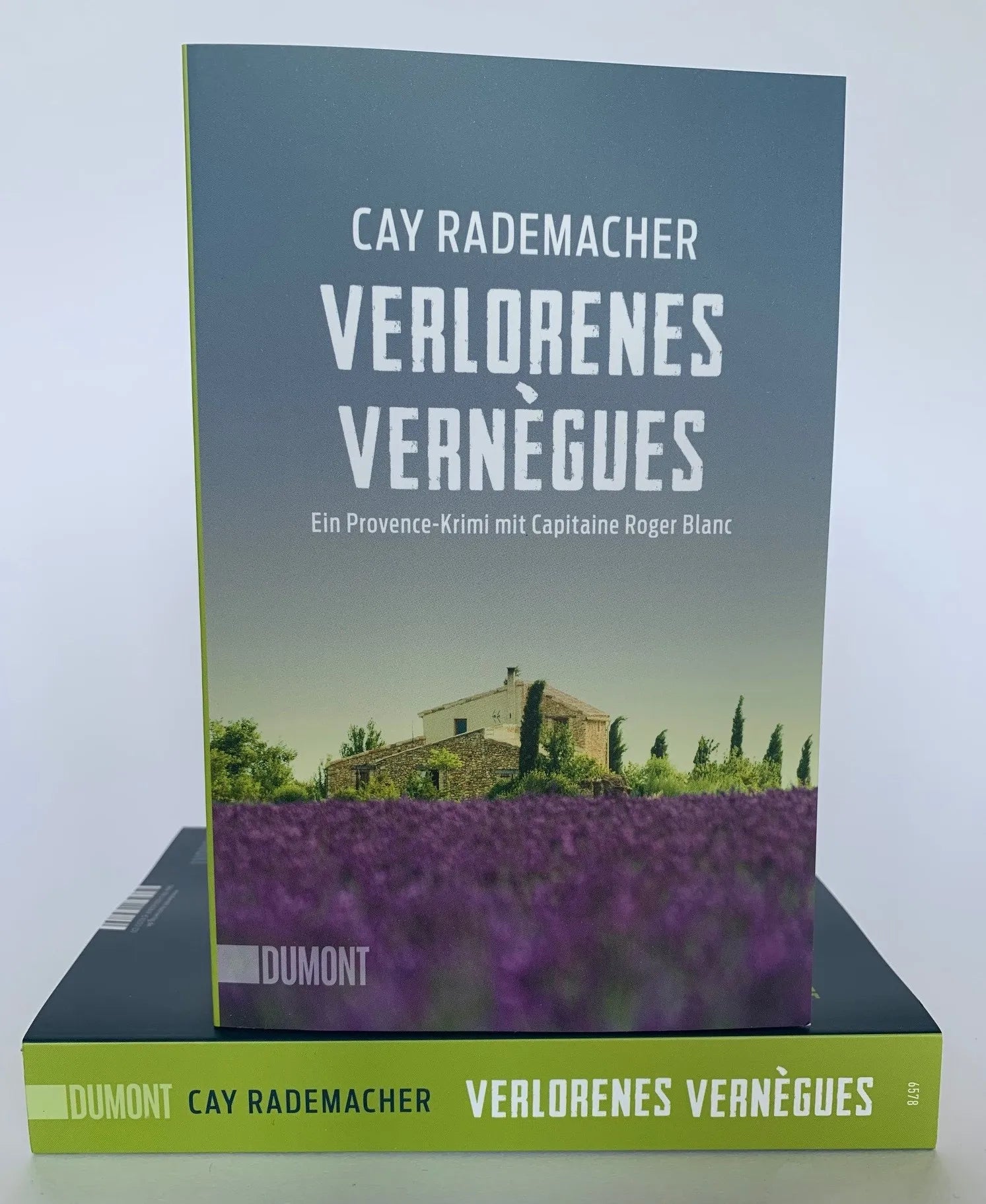 Produktansicht: Verlorenes Vernègues (Taschenbuch)