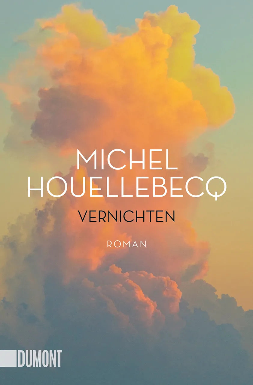 Buchcover von 'Vernichten' - Taschenbuch von Michel Houellebecq