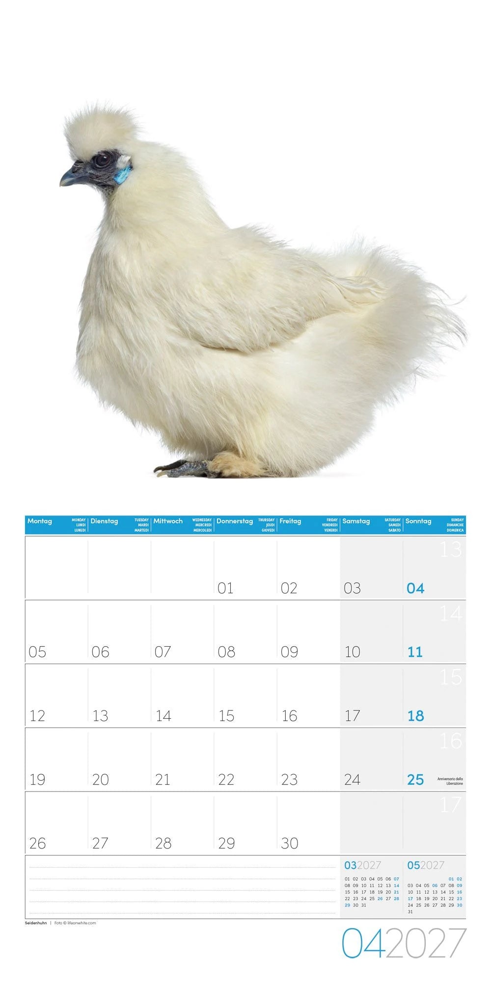 Verrückte Hühner Kalender 2027 - 30x30 - Art12 – Ansicht