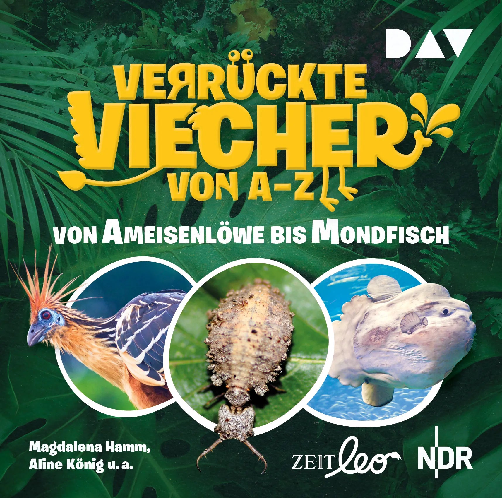 Buchcover von 'Verrückte Viecher von A bis Z – Teil 1: Von Ameisenlöwe bis Mondfisch' - Hörbuch (CD) von Magdalena Hamm