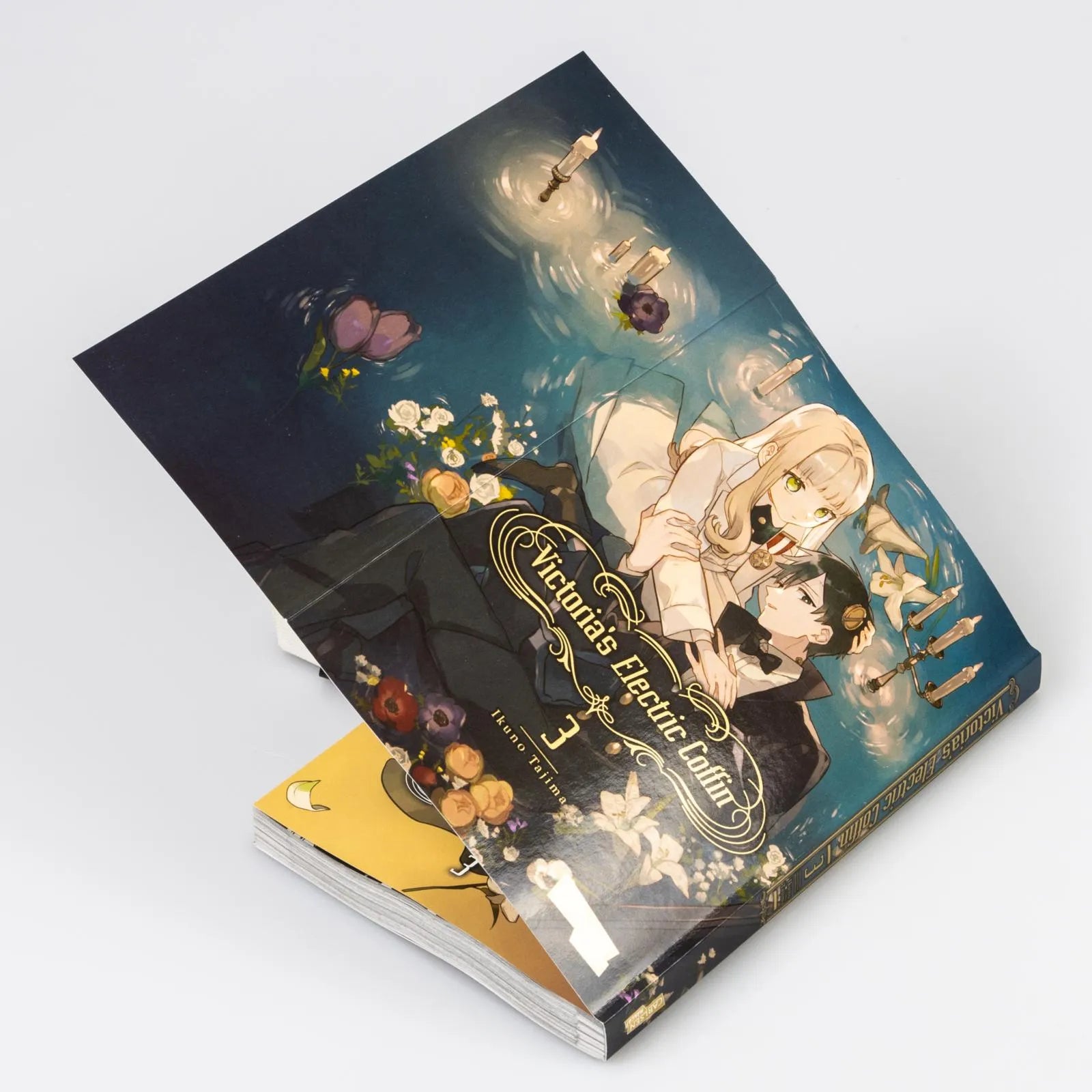 Abbildung von 'Victoria's Electric Coffin 3'