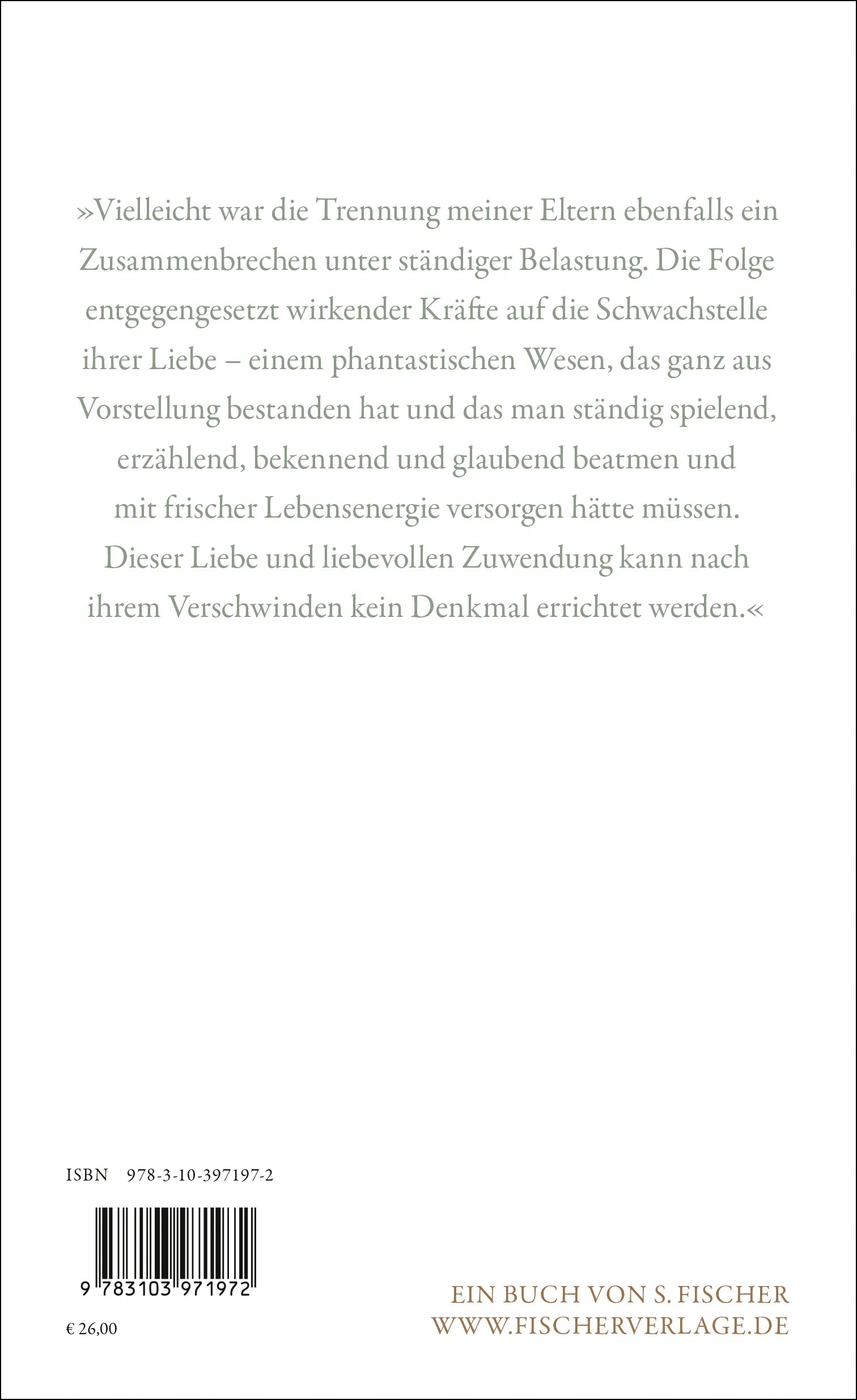 Buchrückseite von 'Videotime' mit Klappentext - Gebundene Ausgabe