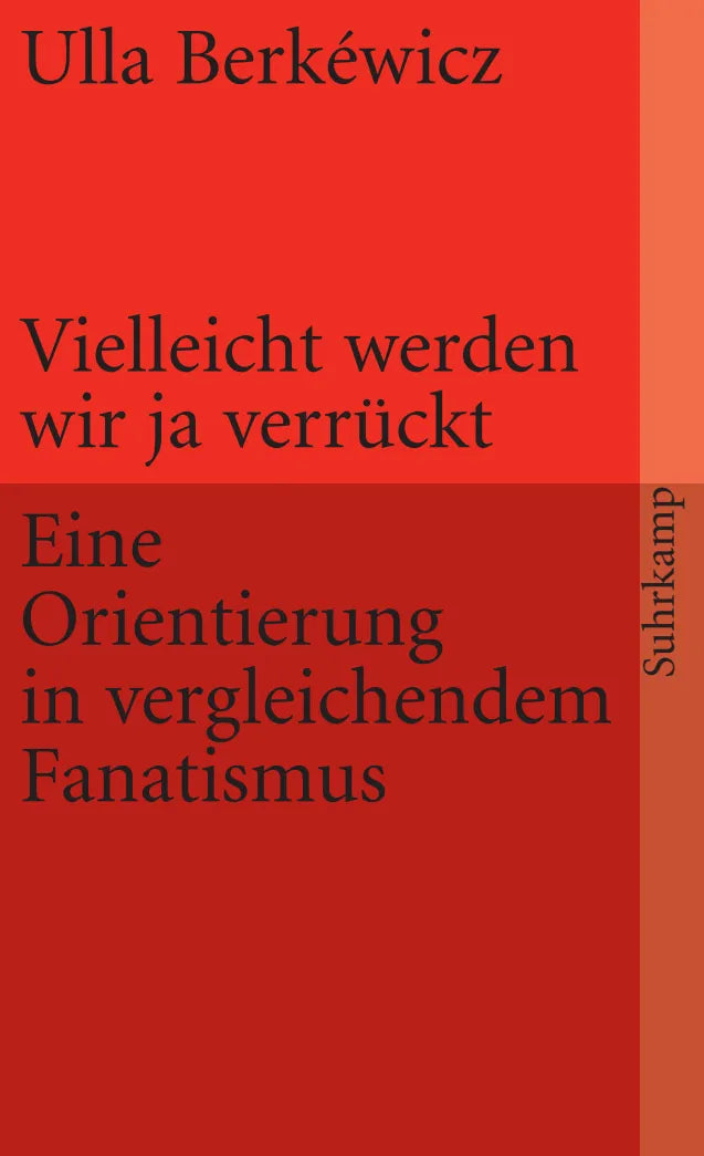 Buchcover von 'Vielleicht werden wir ja verrückt' - Taschenbuch von Ulla Berkéwicz