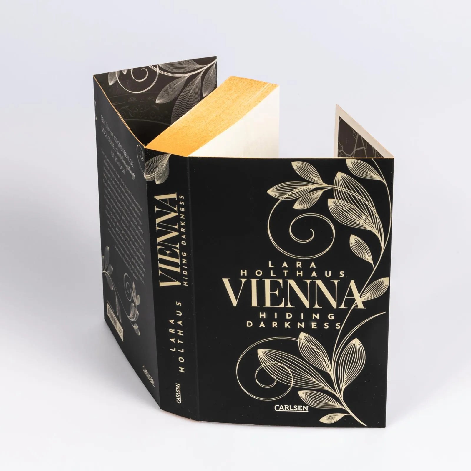 Produktansicht: Vienna 2: Hiding Darkness (Paperback)