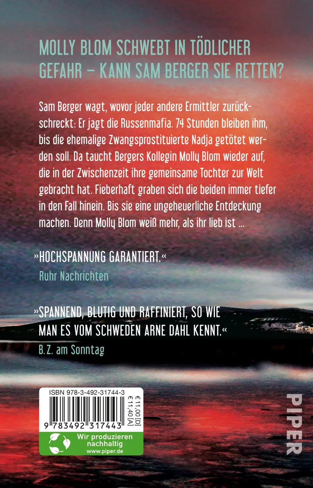 Buchrückseite von 'Vier durch vier' mit Klappentext - Taschenbuch