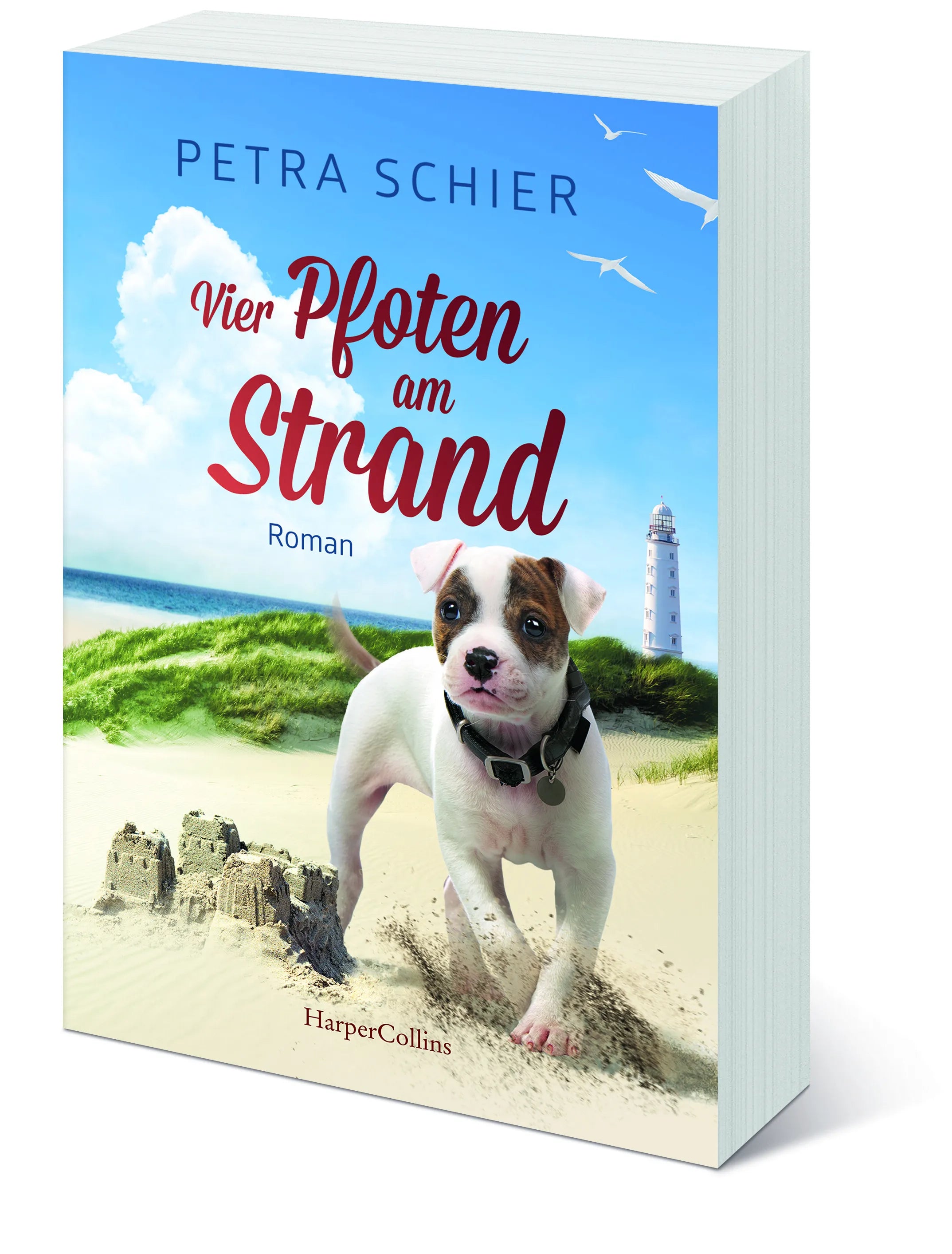 Petra Schier - Vier Pfoten am Strand