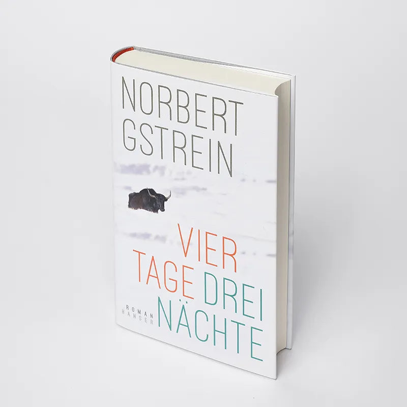 Norbert Gstrein - Vier Tage, drei Nächte