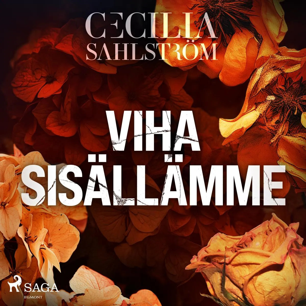 Cover: Viha sisällämme (Hörbuch Download) von Cecilia Sahlström