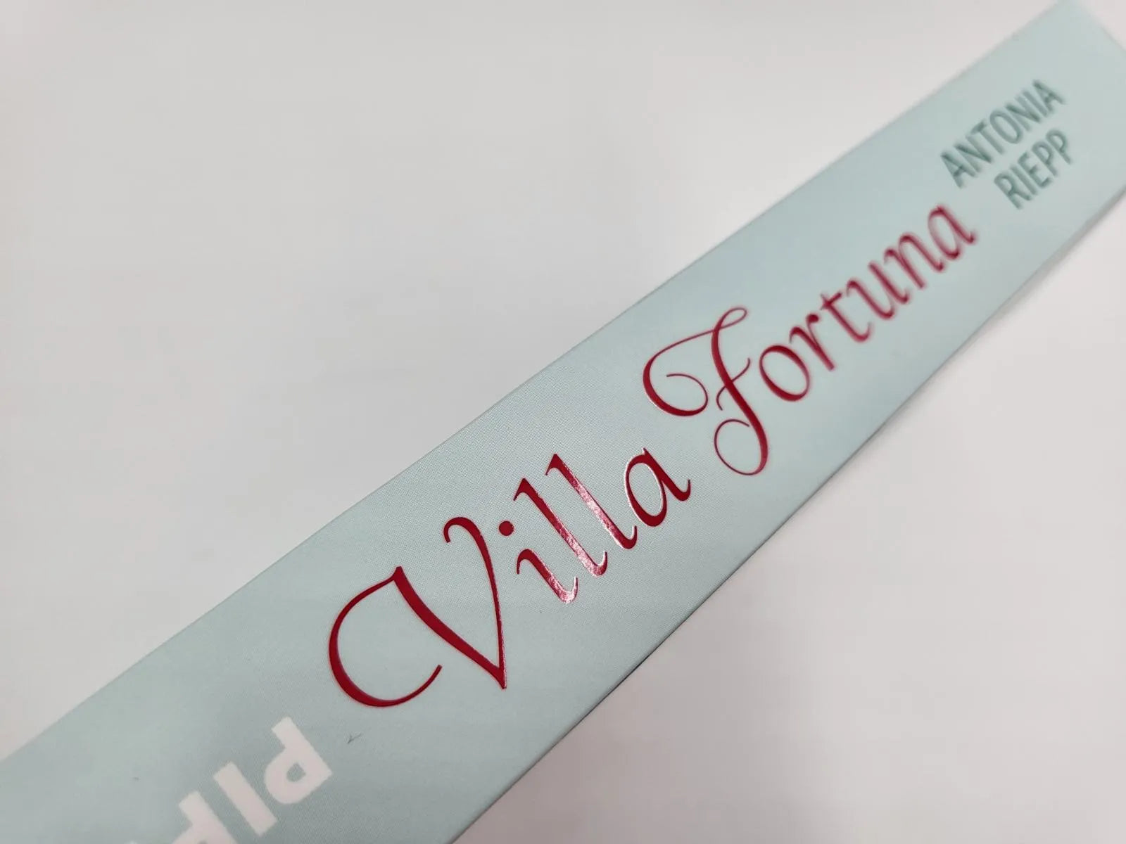 Antonia Riepp - Villa Fortuna