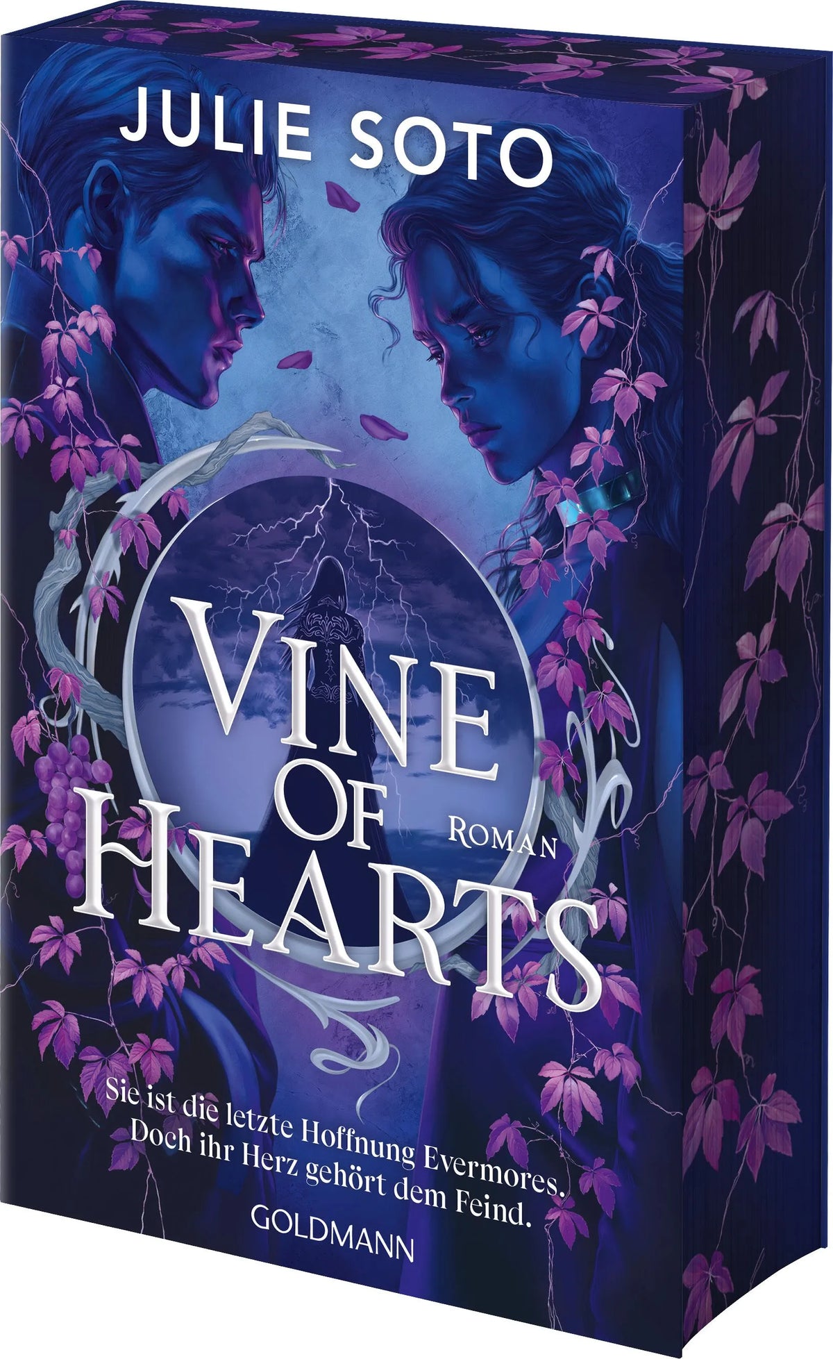 Cover: Vine of Hearts (Paperback) von Julie Soto