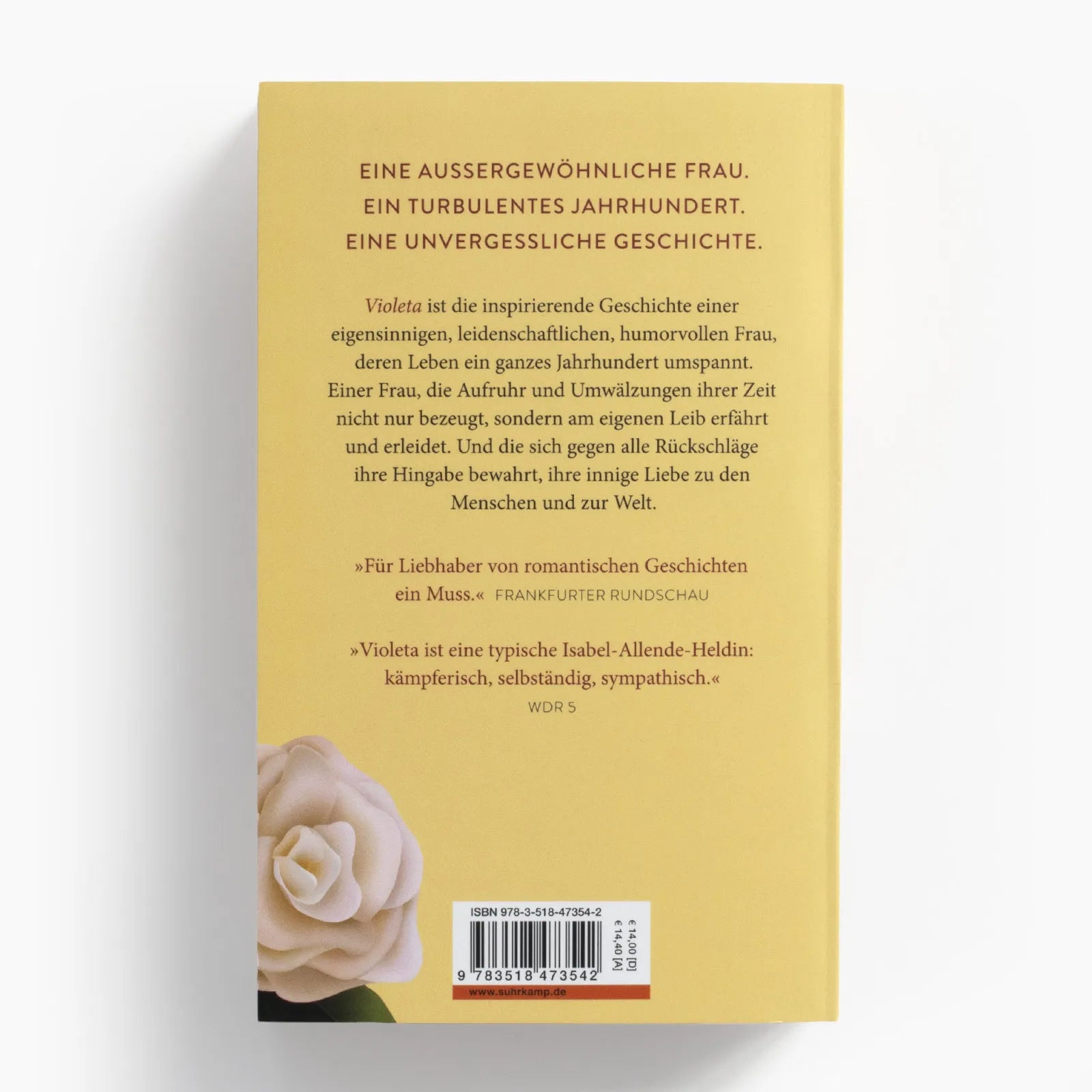 Detailansicht: Violeta (Taschenbuch)