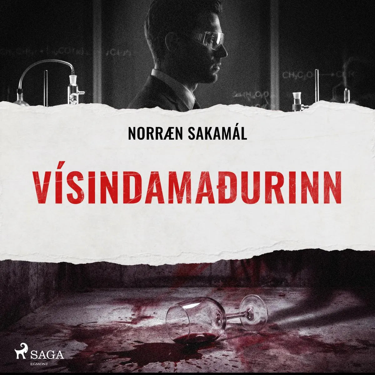 Cover: Vísindamaðurinn (Hörbuch Download) von Ýmsir