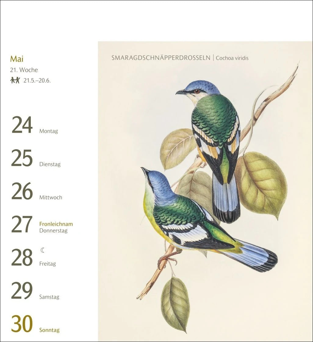 Vögel Postkartenkalender 2027 - Postkartenkalender mit 53 historischen Zeichnungen – Ansicht