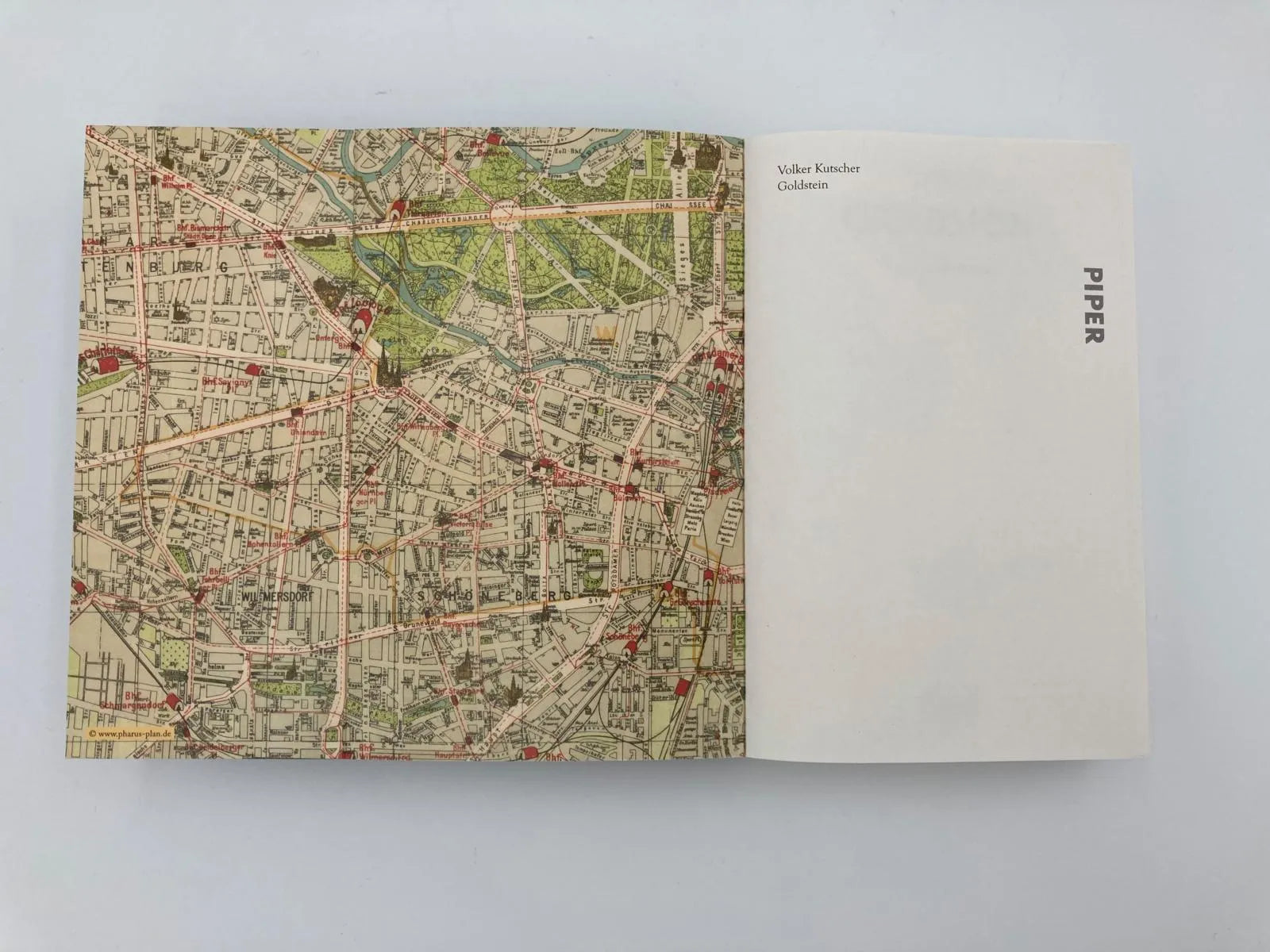Produktansicht: Goldstein (Taschenbuch)