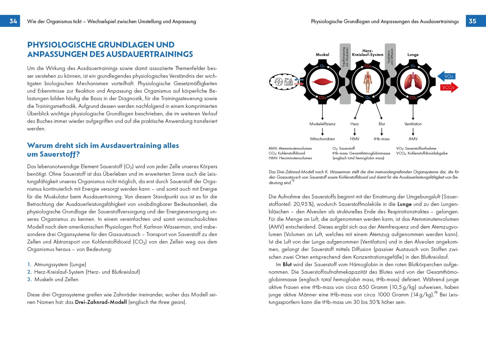 Innenansicht von 'Voll im Takt – Ausdauertraining im Rhythmus des Herzschlags' - Taschenbuch