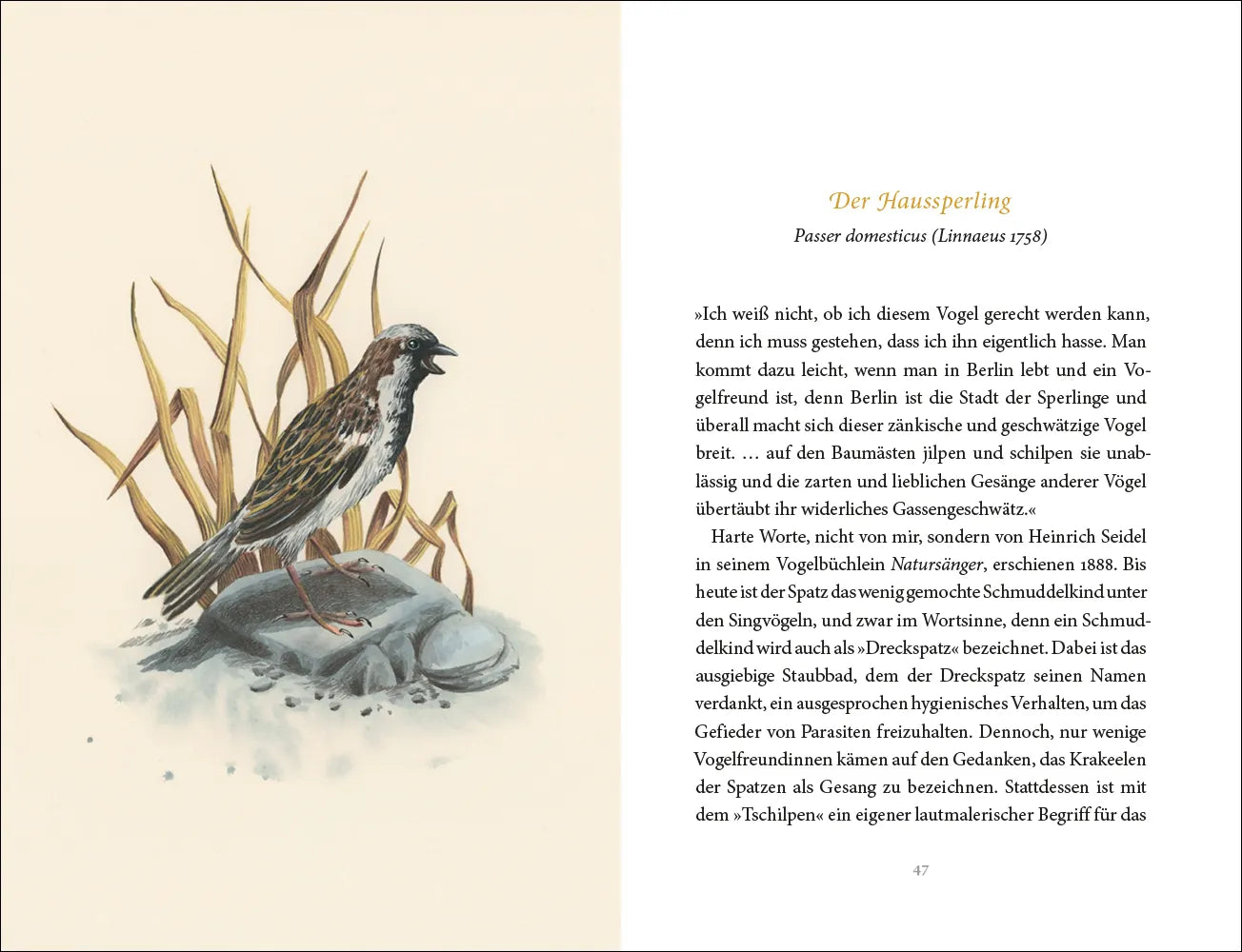 Produktansicht: Vom Glück des Vogelgesangs (Gebundene Ausgabe)