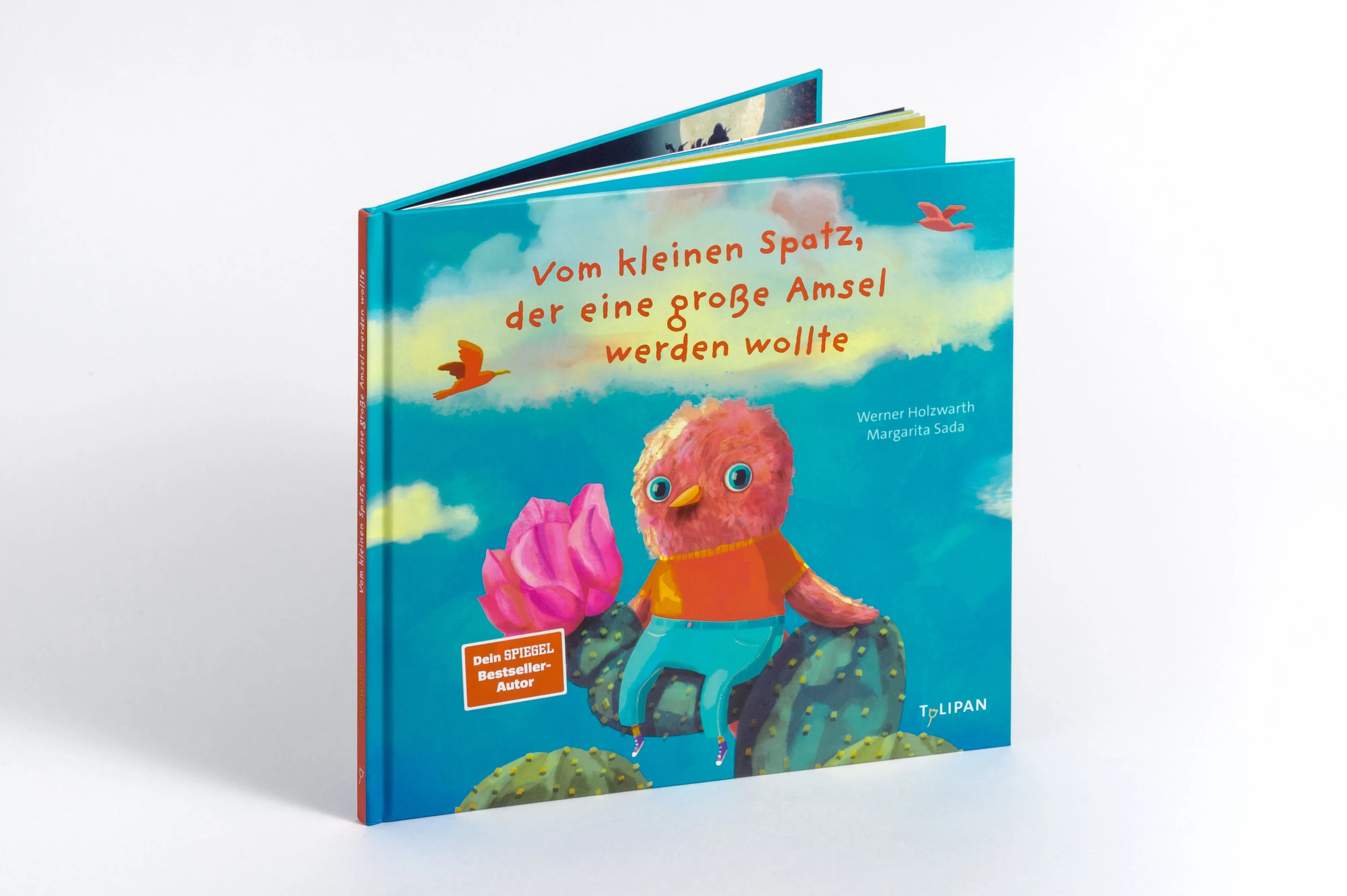 Detailansicht: Vom kleinen Spatz, der eine große Amsel werden wollte (Hardcover)